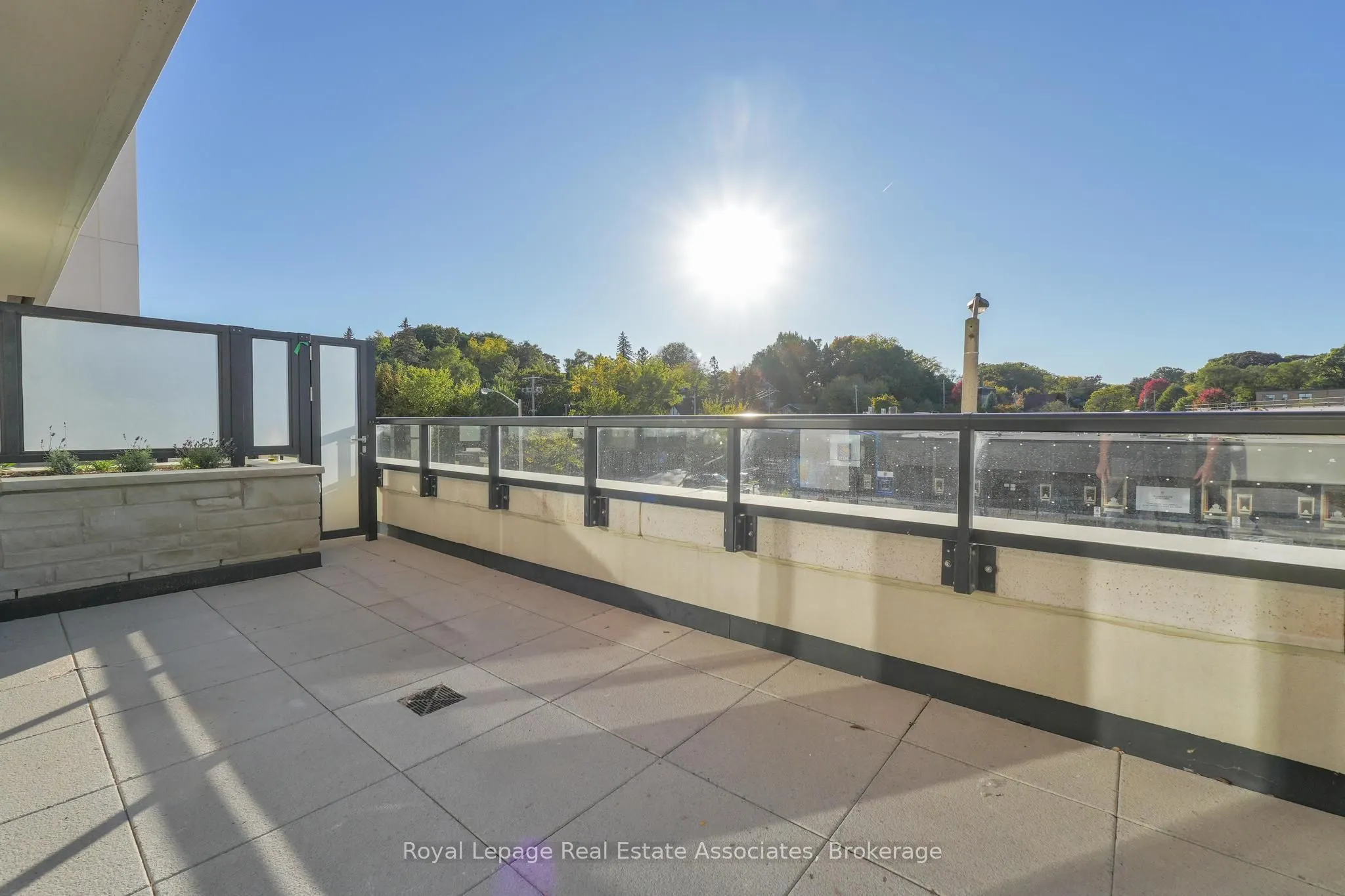 259 The Kingsway, #216