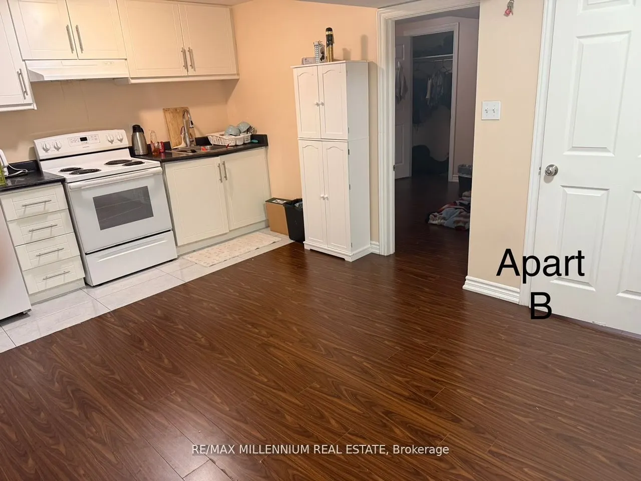 775 Father D'souza Drive, #Bsmt
