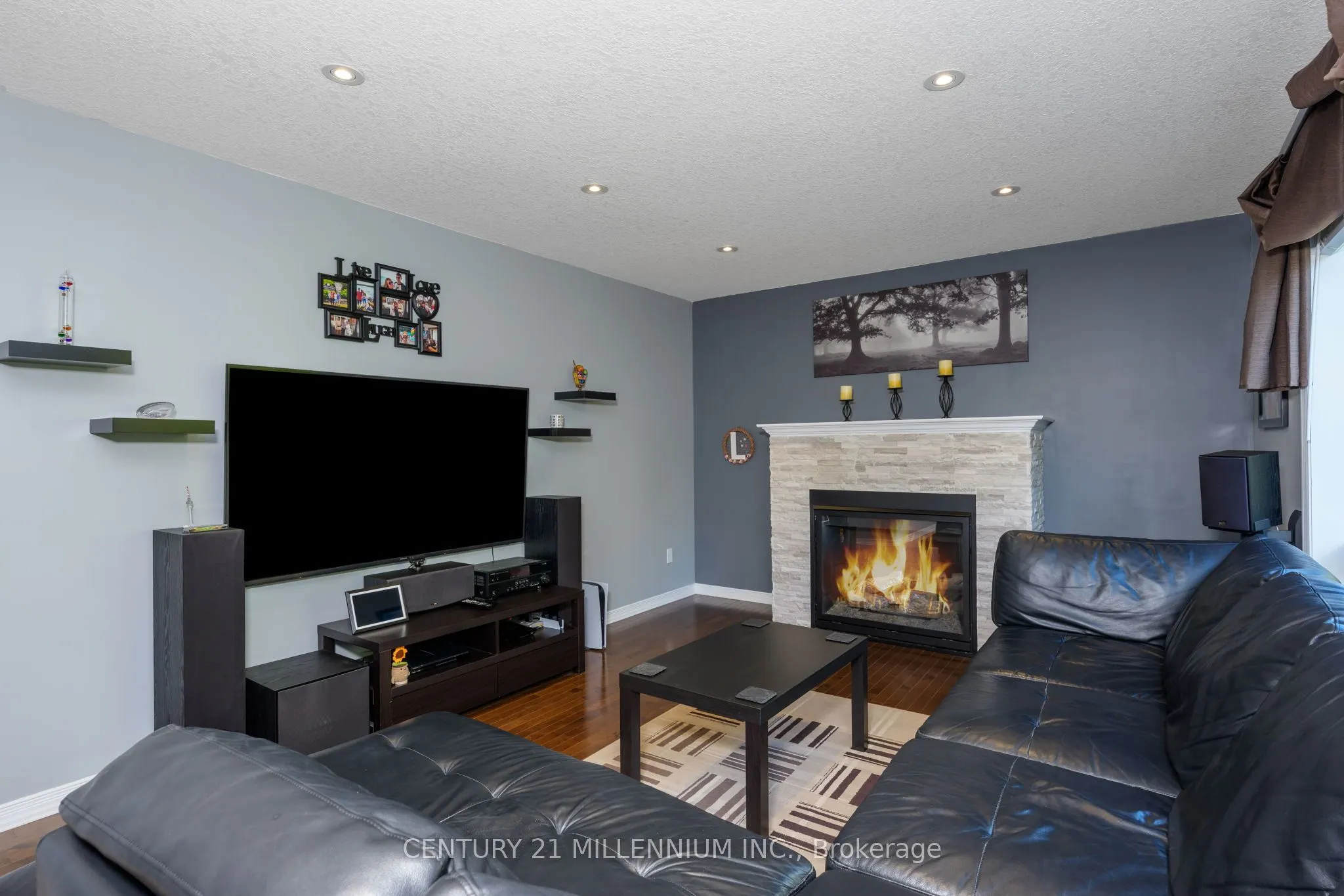 171 Elaine Drive