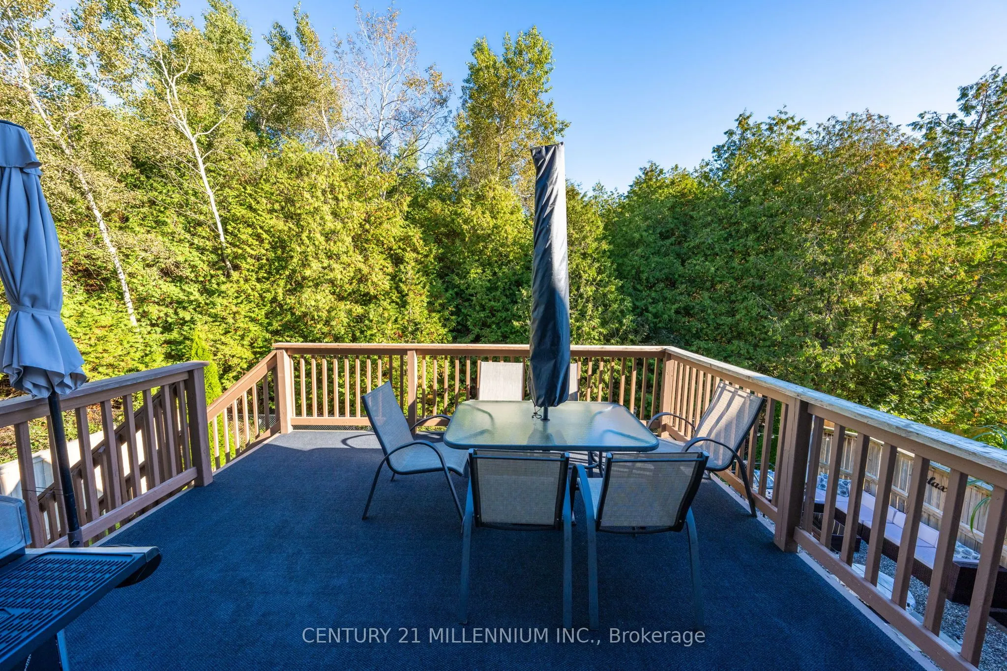 171 Elaine Drive