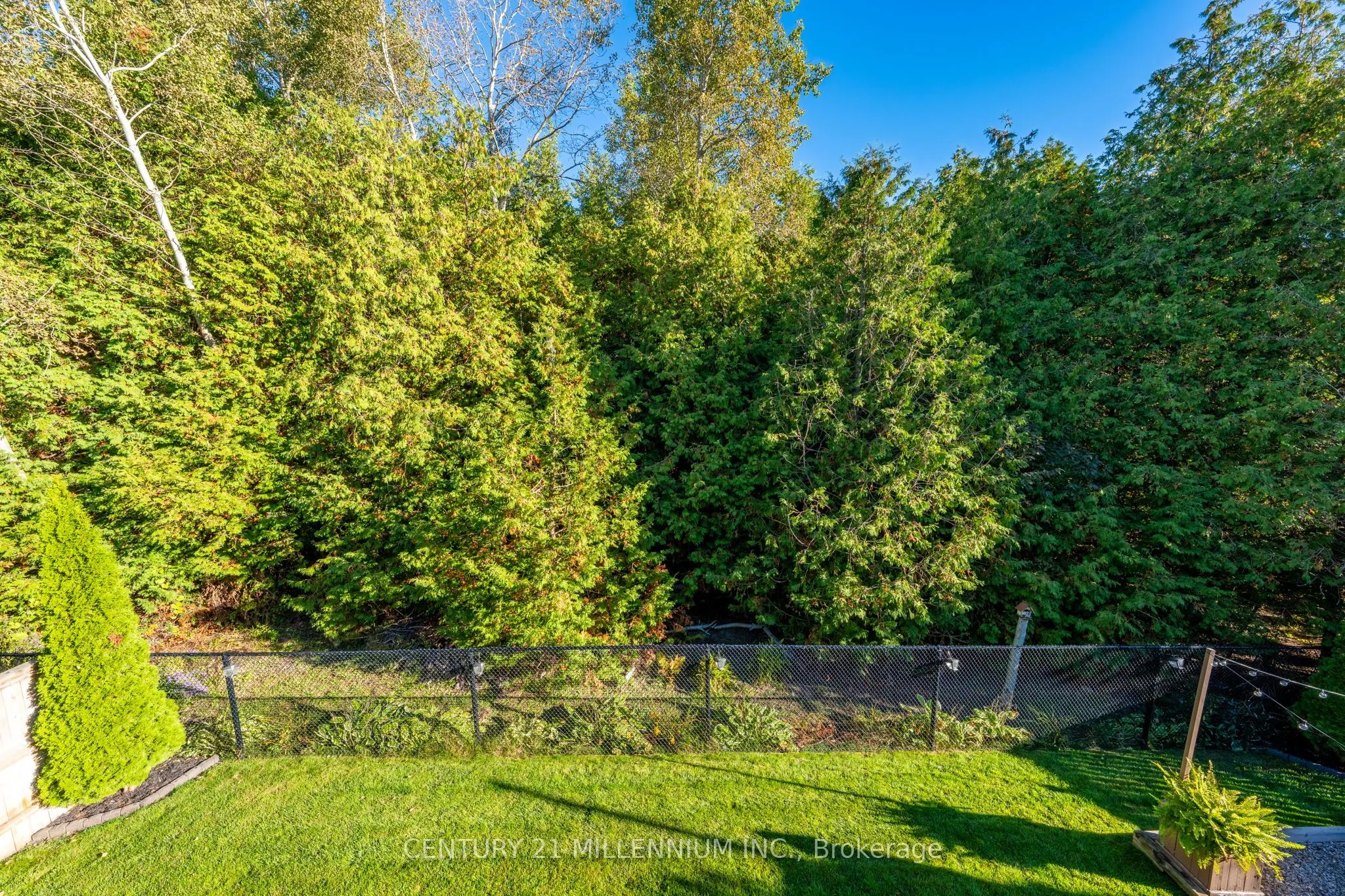 171 Elaine Drive