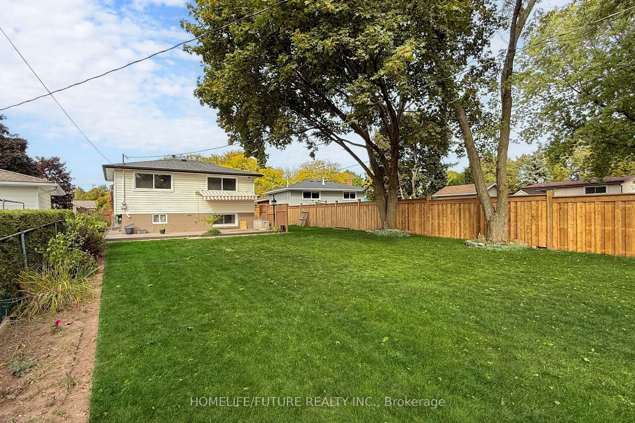 659 Bridle Wood