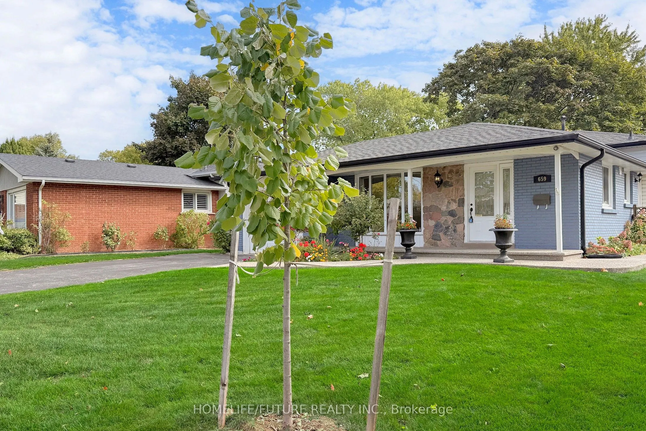 659 Bridle Wood