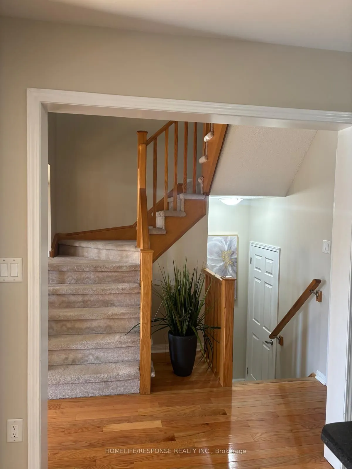 941 Hasselfeldt Heights
