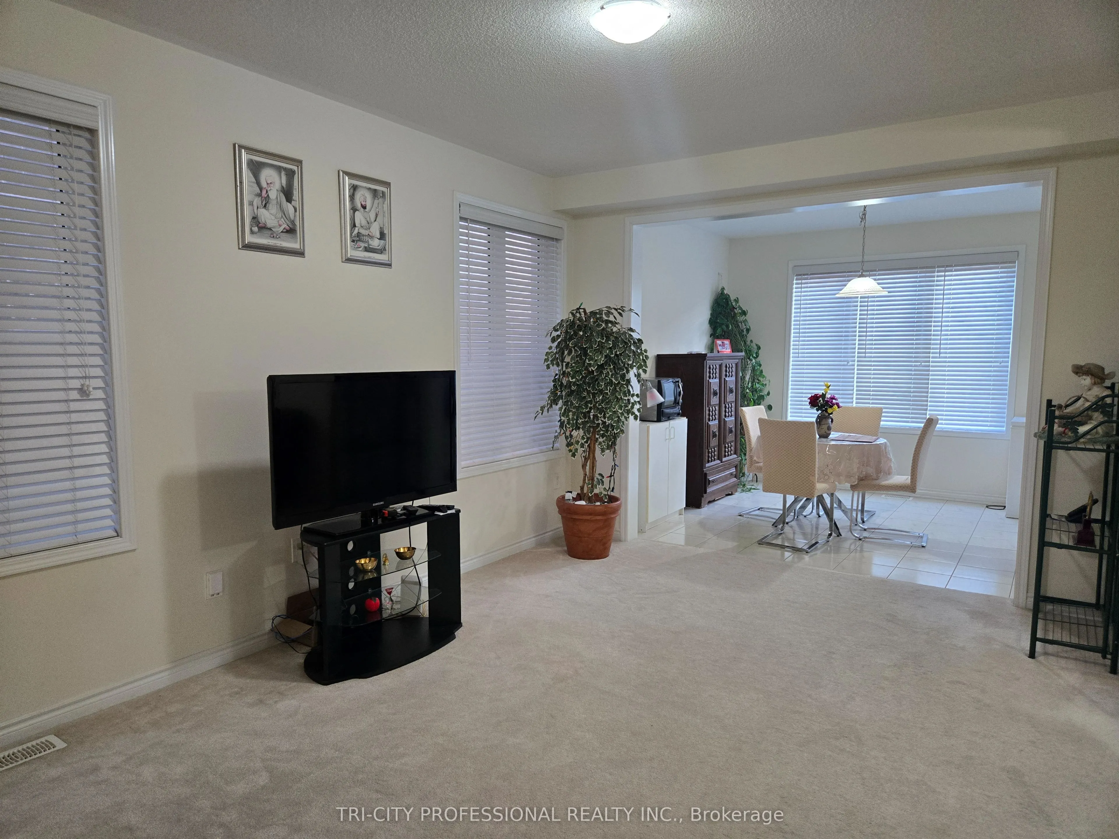 520 Edenbrook Hill Drive