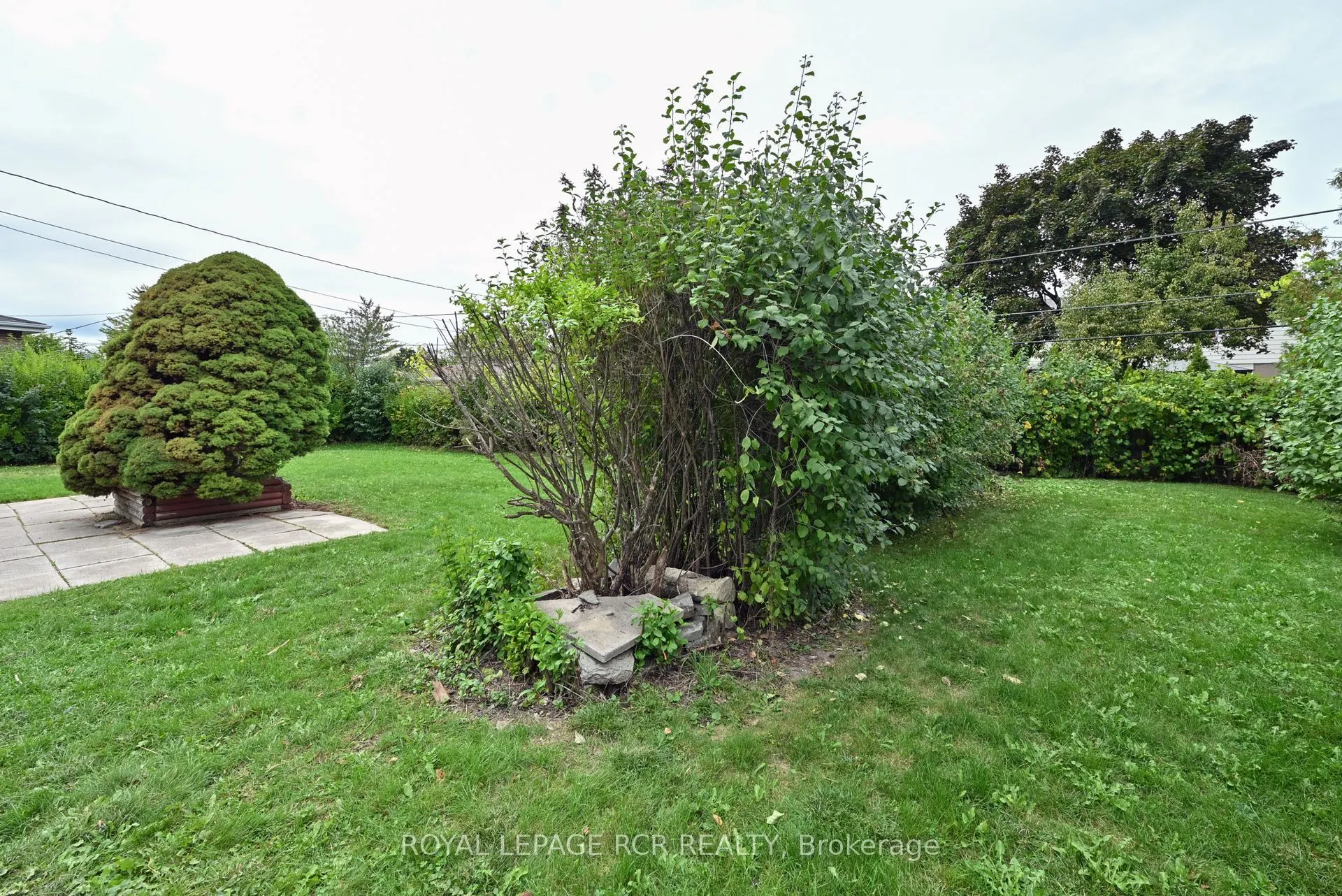61 Belmont Drive