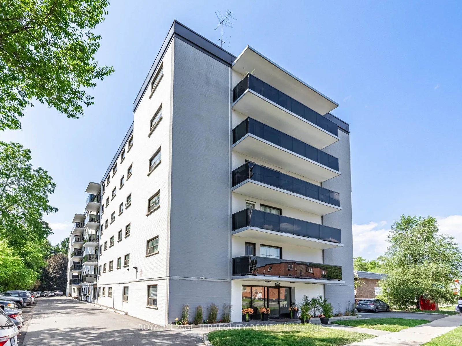 2411 New Street, #205