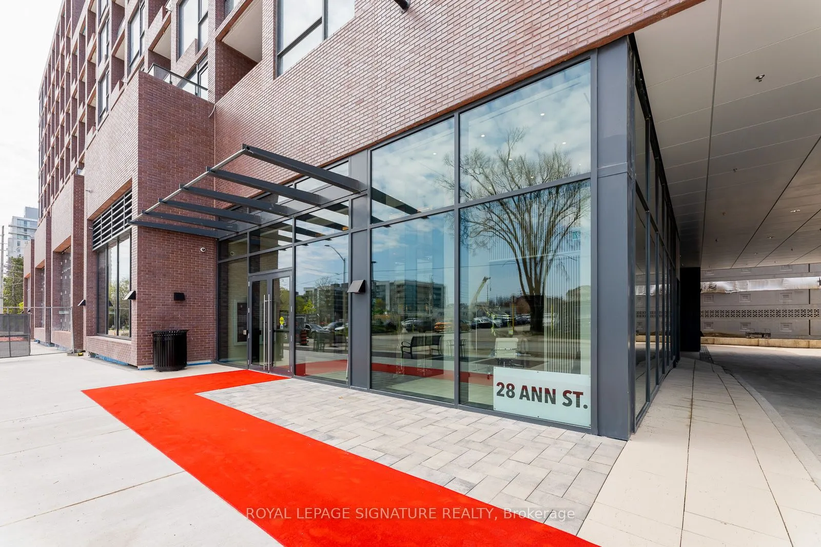 28 Ann Street #209