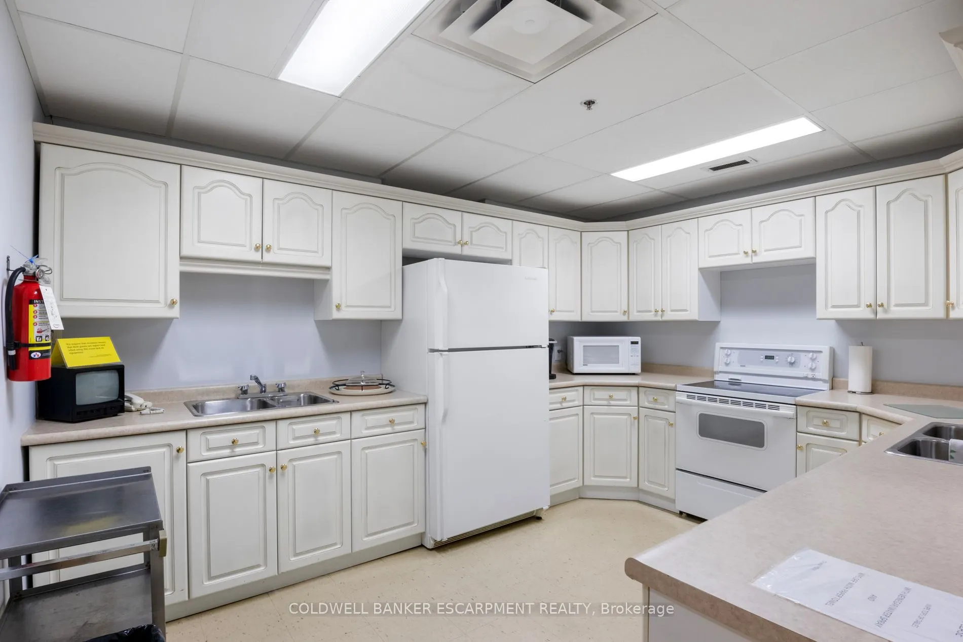 81 Millside Drive, #1005