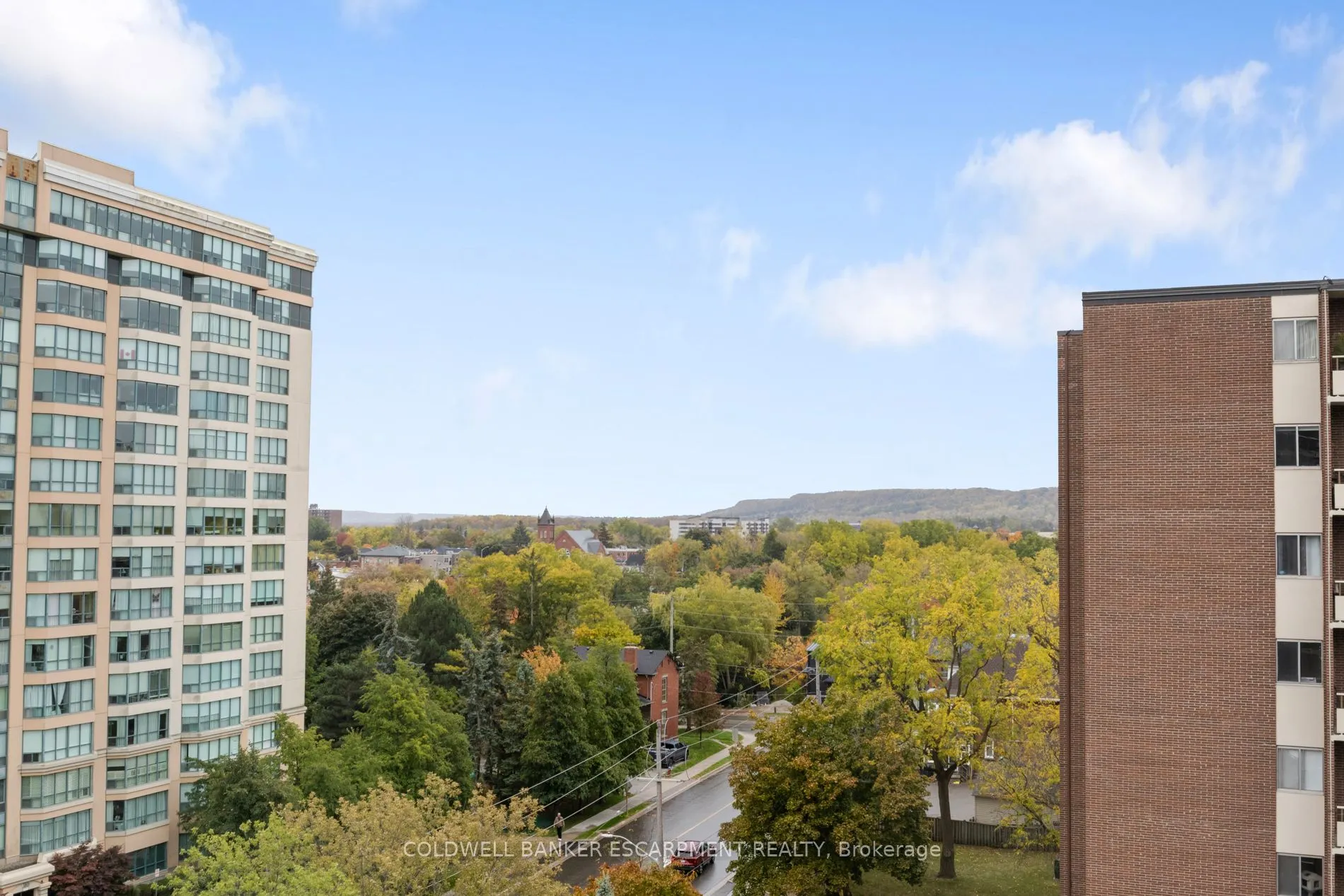81 Millside Drive, #1005