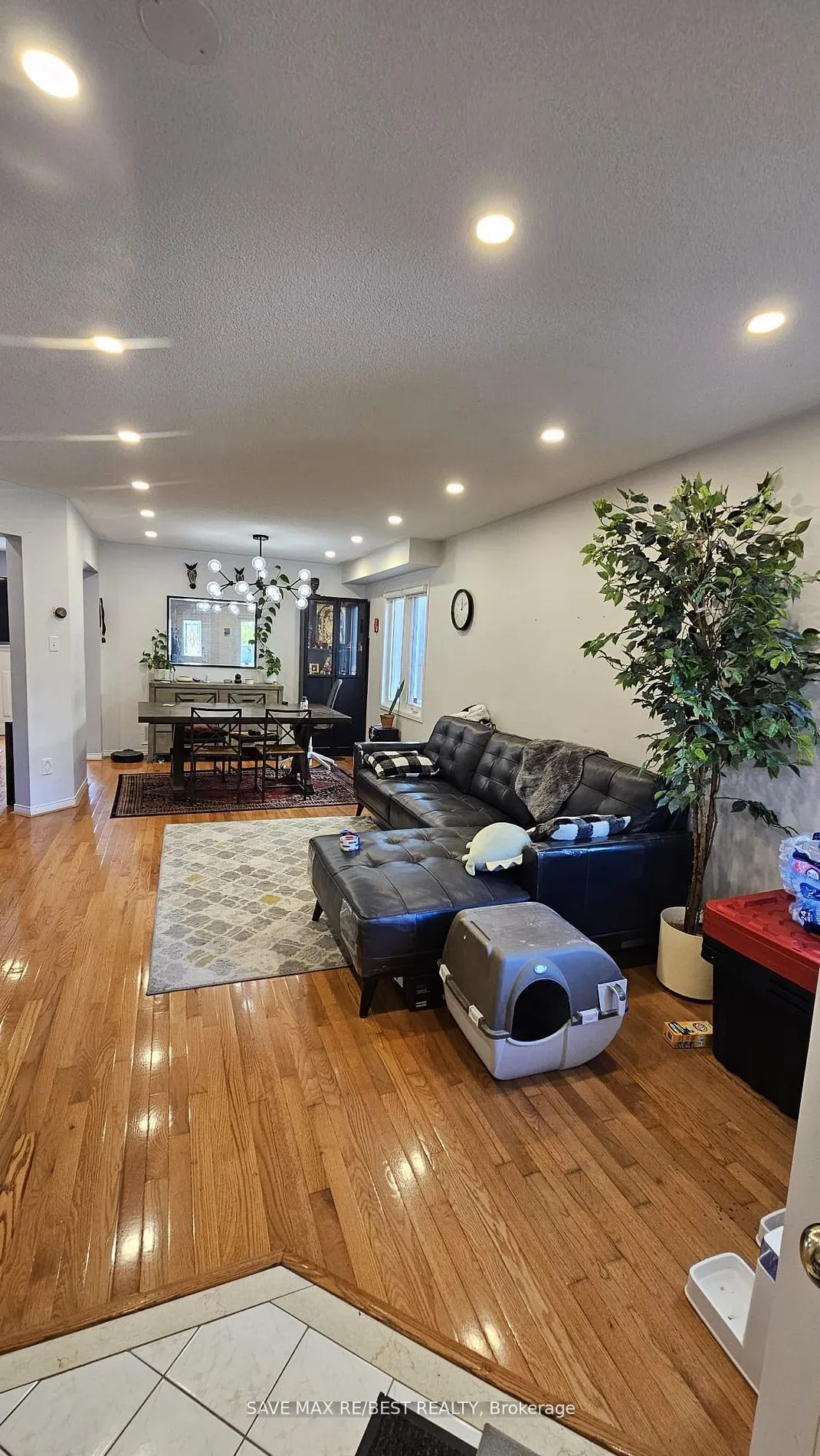 8 Treepark Street