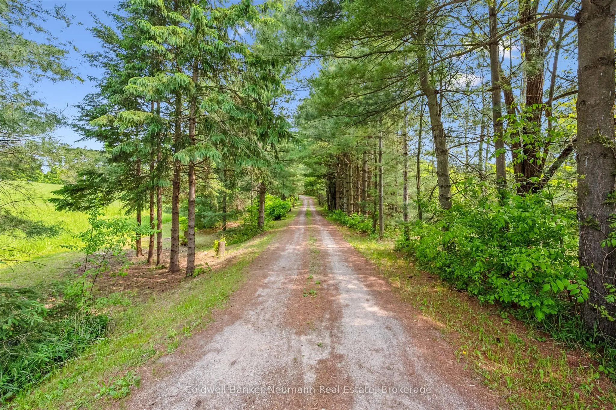 13085 Nassagaweya Puslinch Townline
