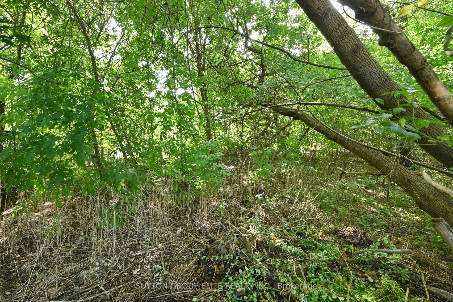 1238 Claredale Road
