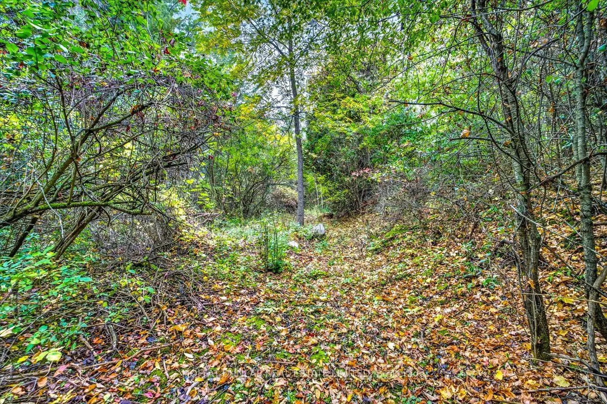 000 Mountainview Road