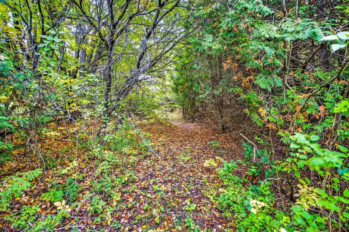 000 Mountainview Road