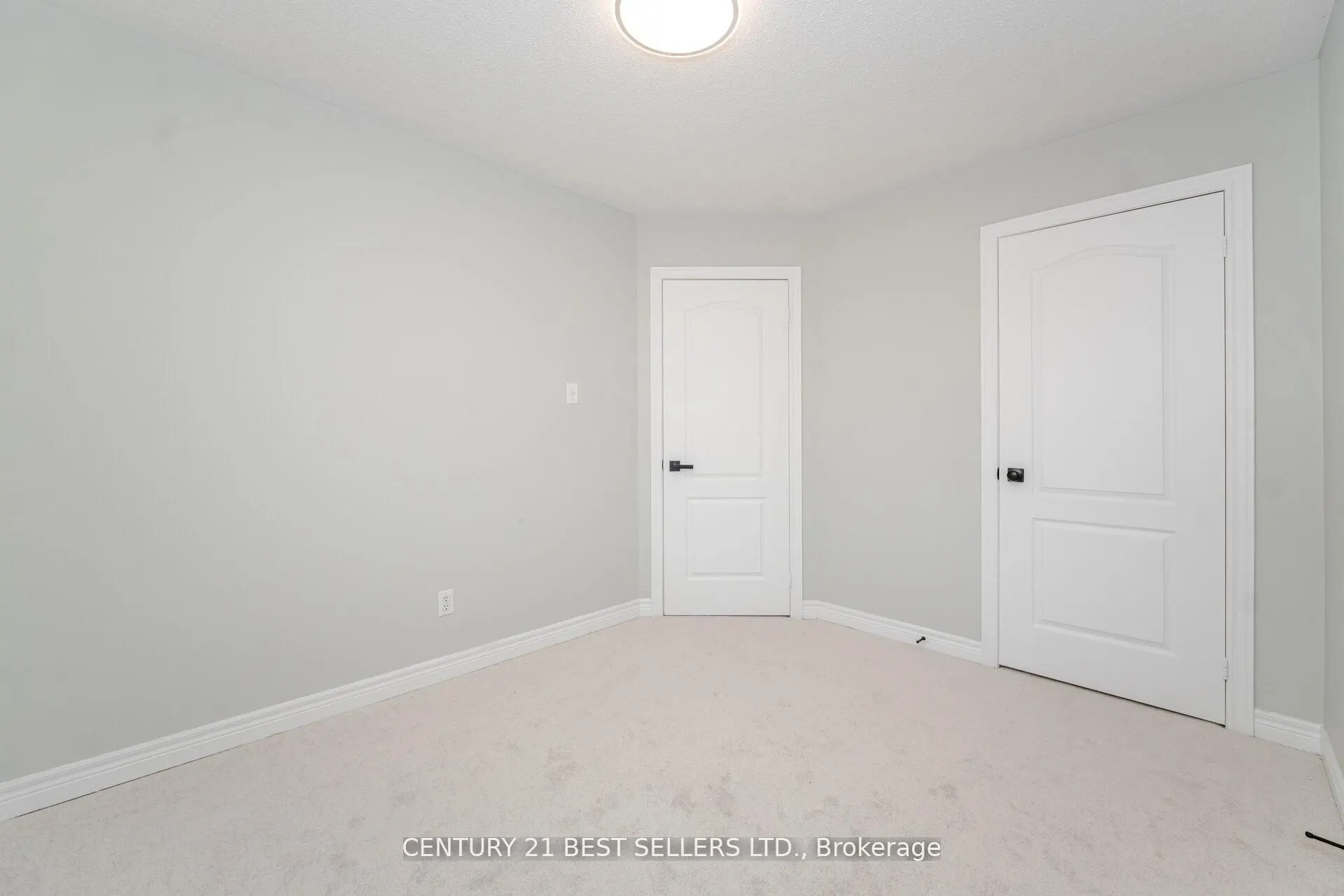 222 Andrews Trail