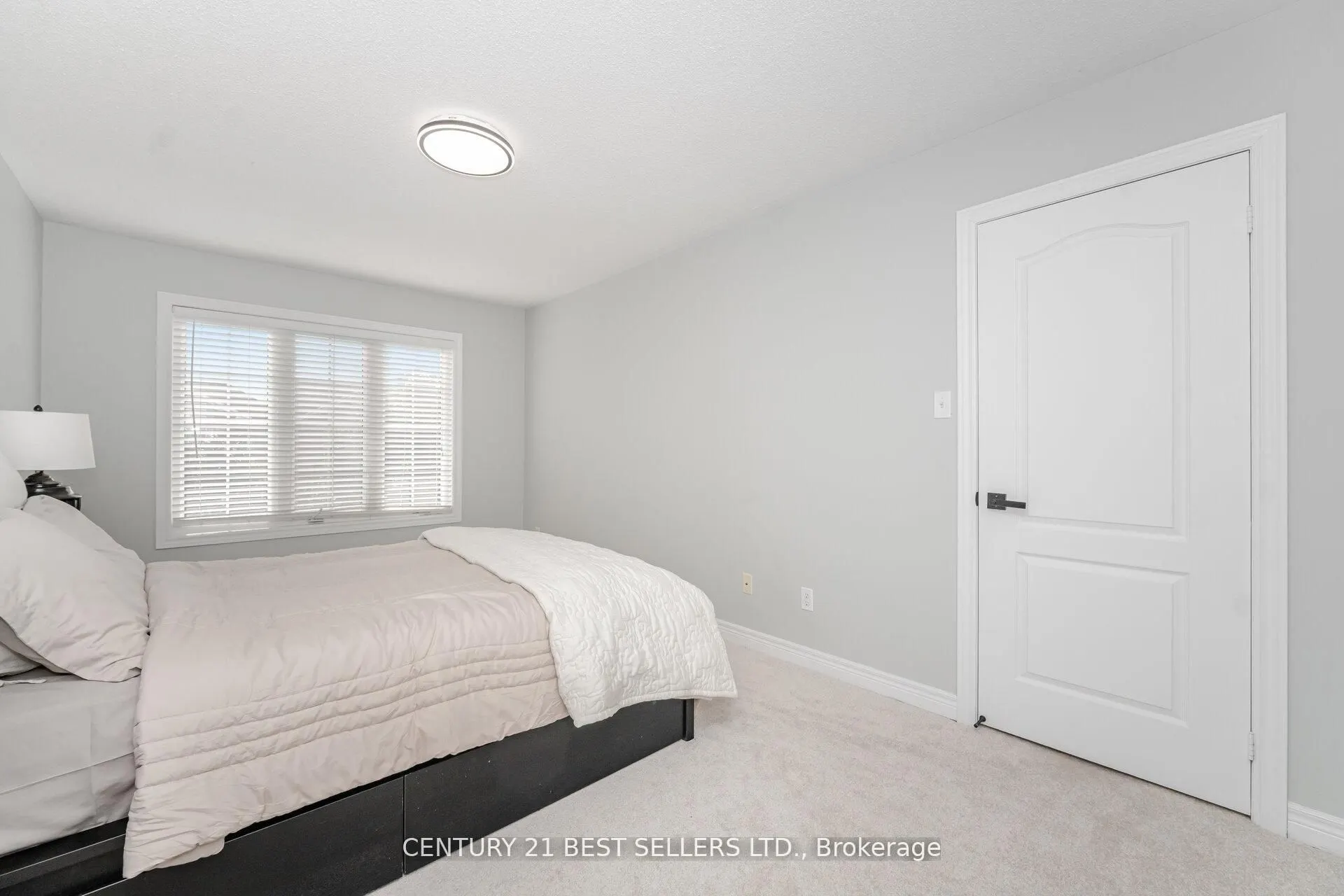 222 Andrews Trail