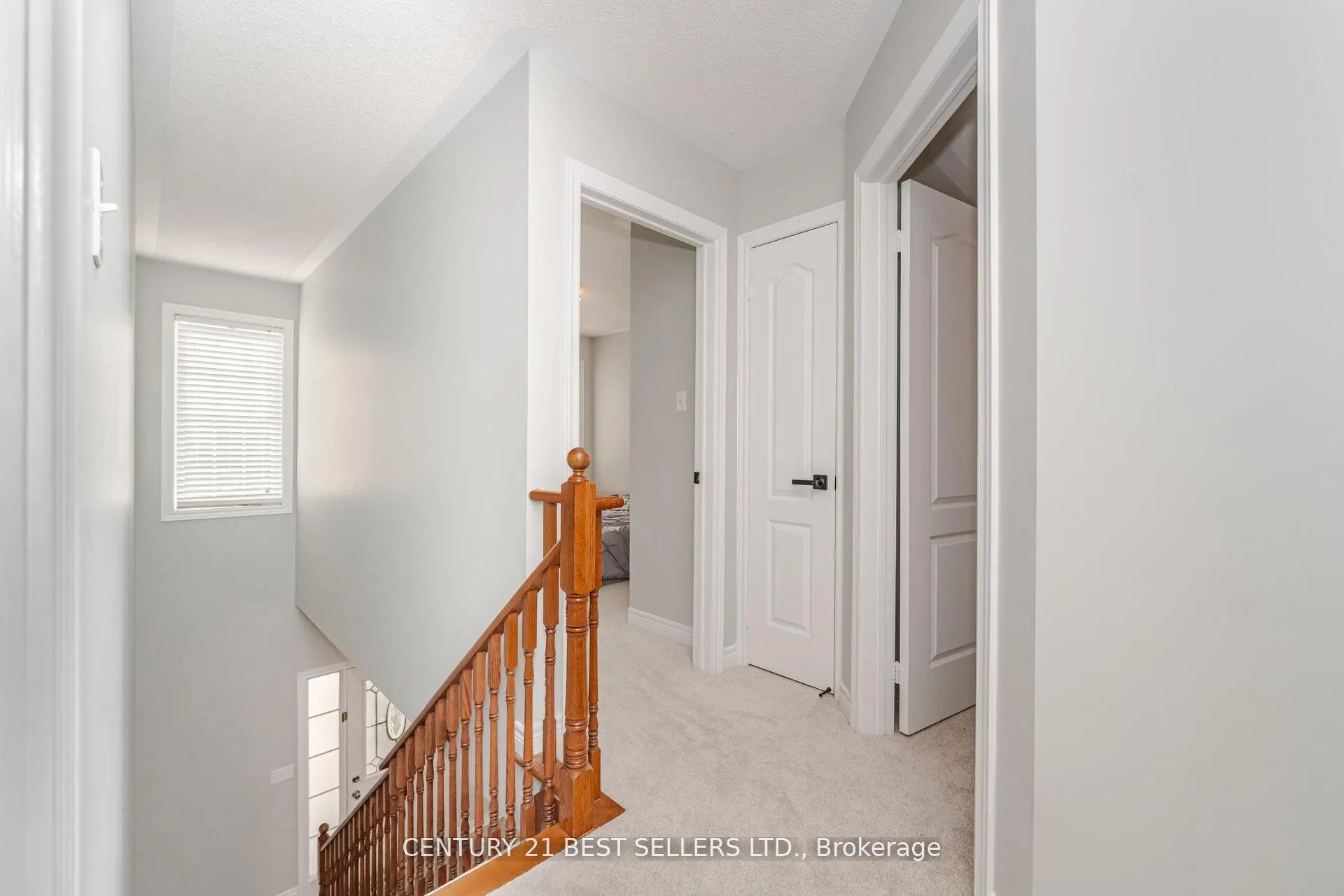 222 Andrews Trail