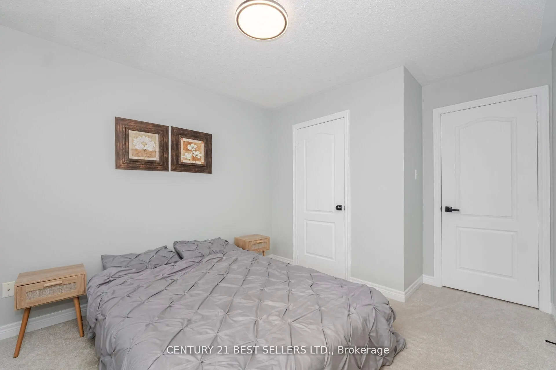 222 Andrews Trail