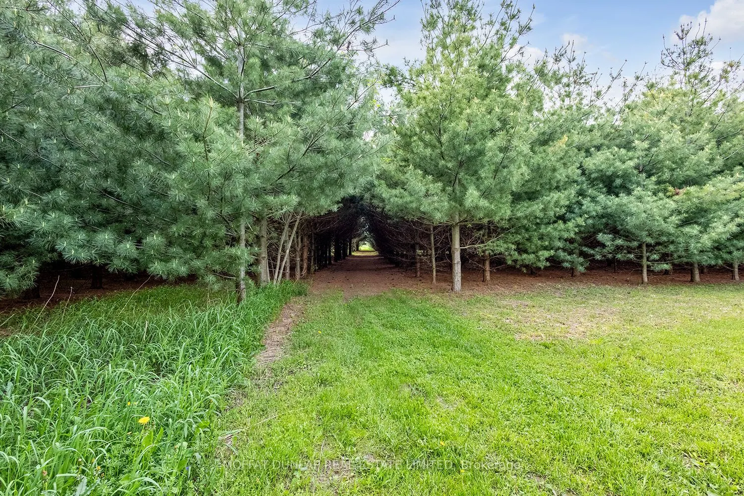 2052 Highpoint Side Road