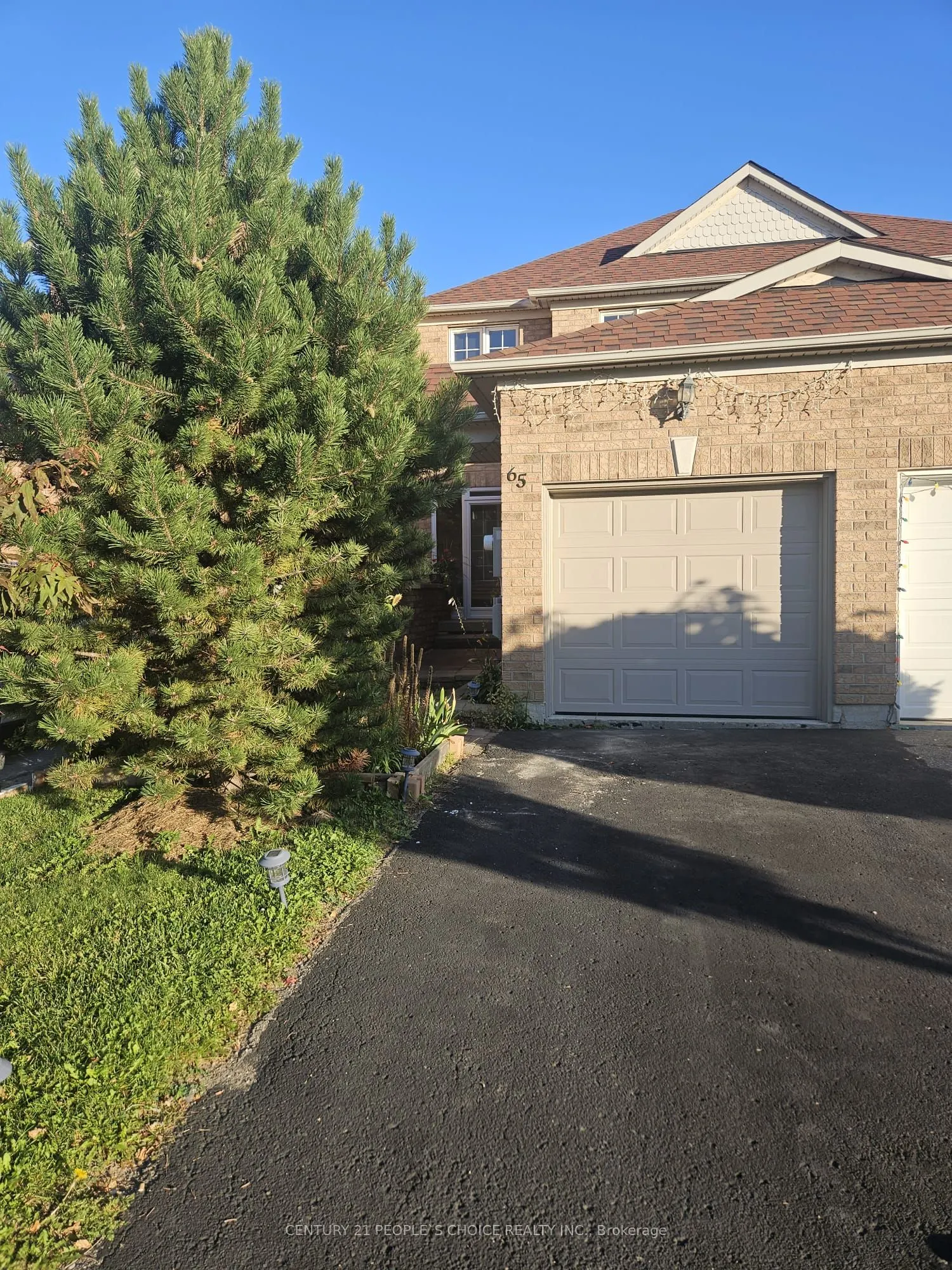 65 Olympia Crescent