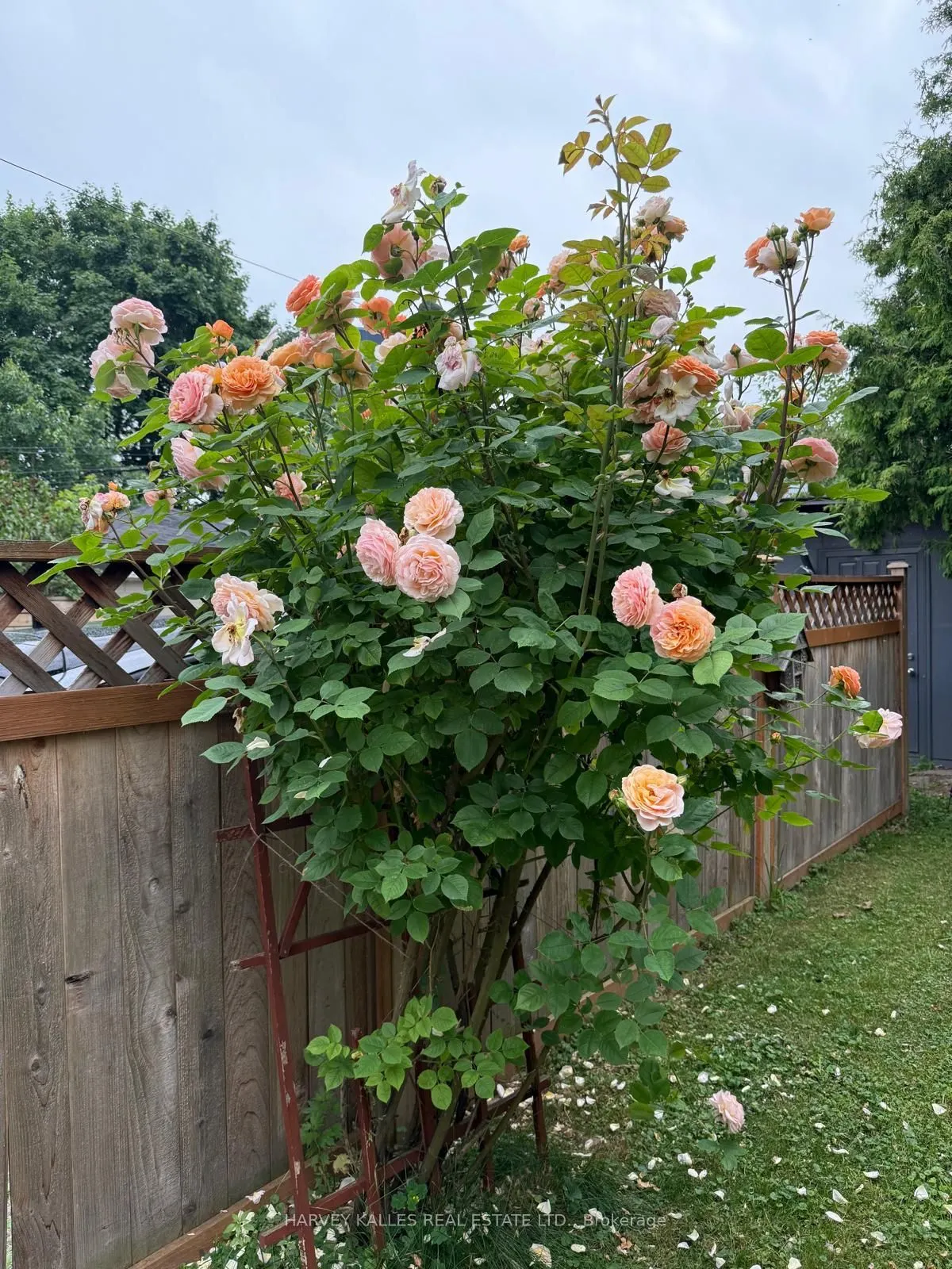 338 Bartlett Avenue N