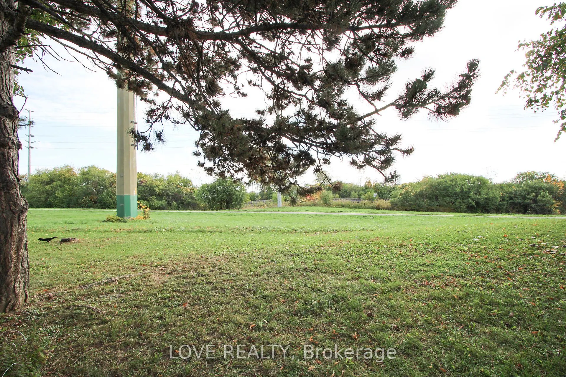 2440 Bromsgrove Road, #90