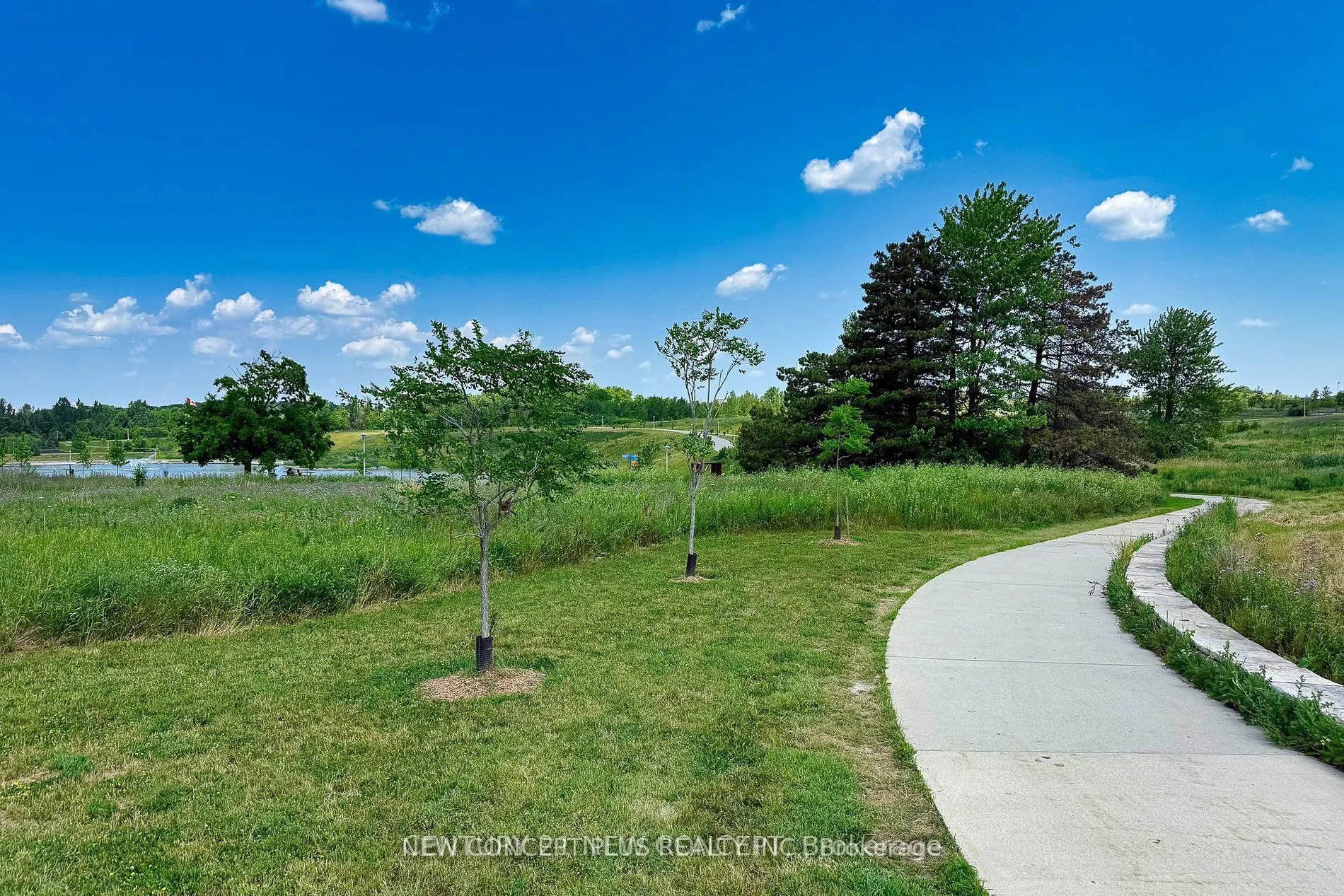 90 Stanley Greene Boulevard, #3