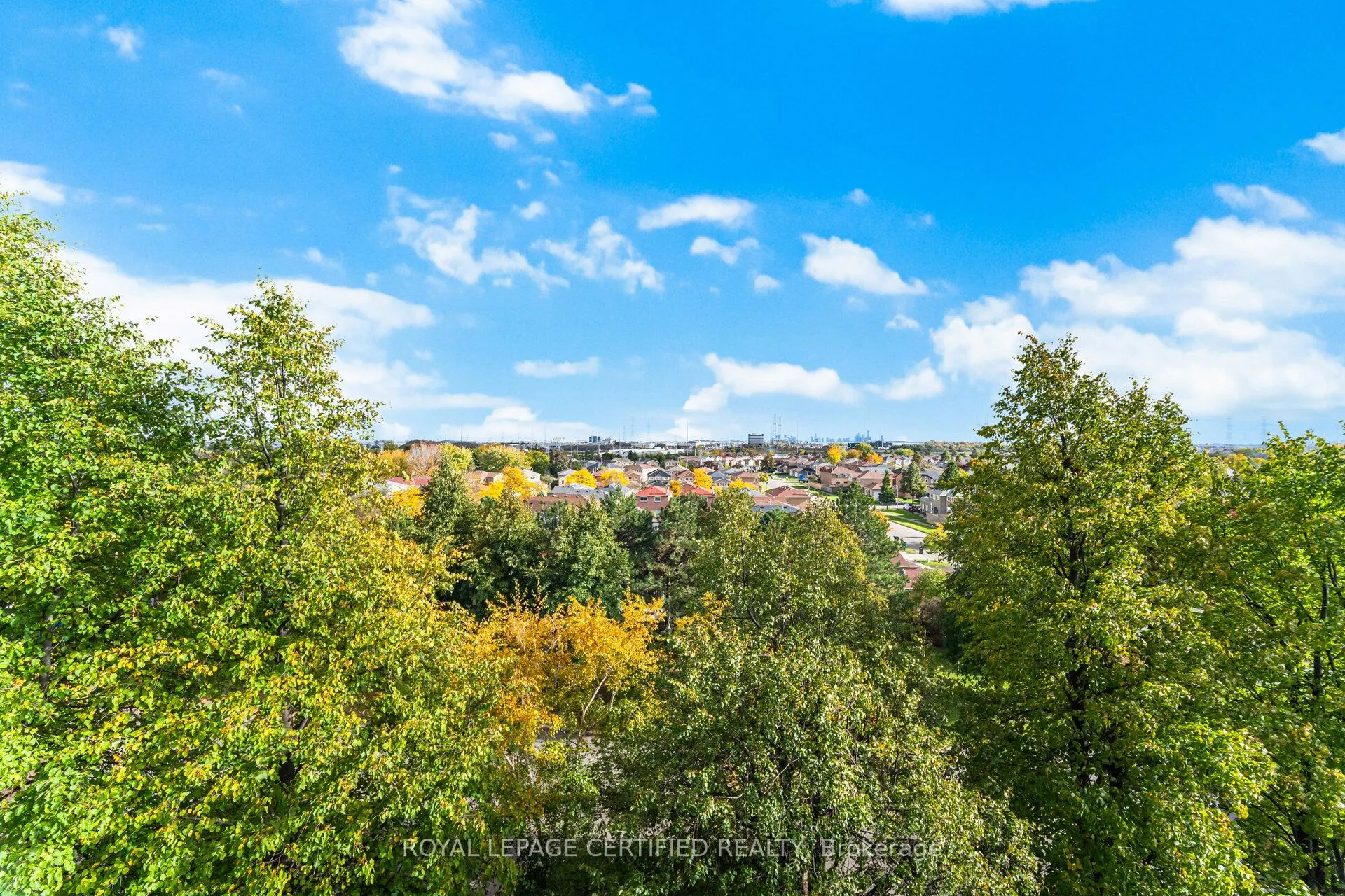 20 Cherrytree Drive, #603