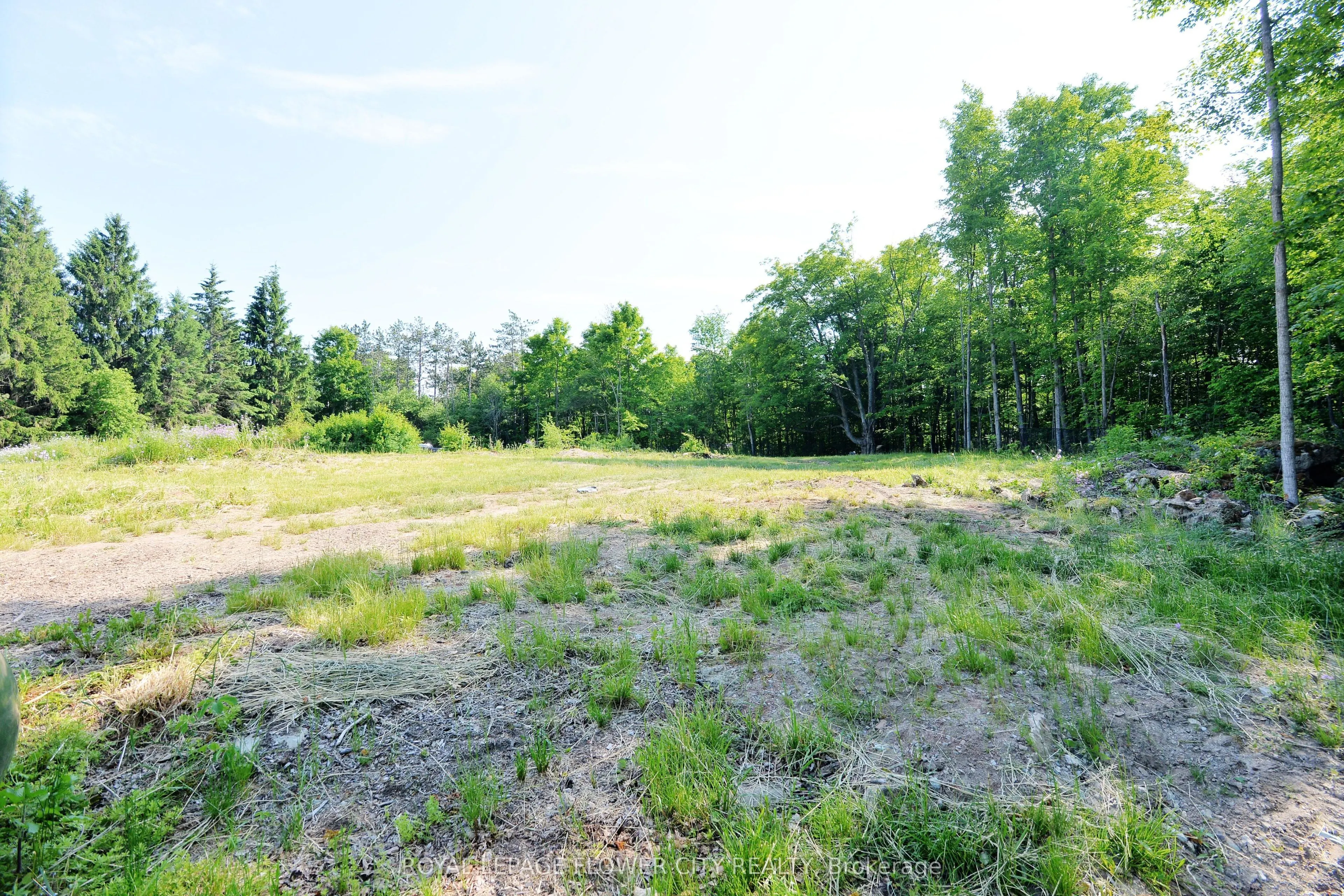 15790 Mississauga Road