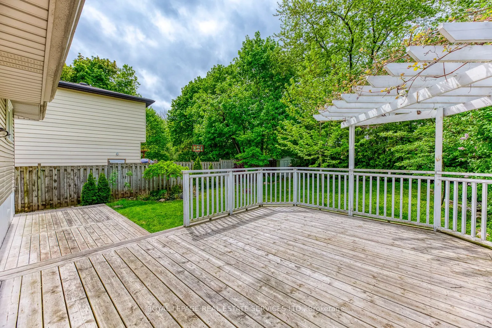 59 Mccraney Street W