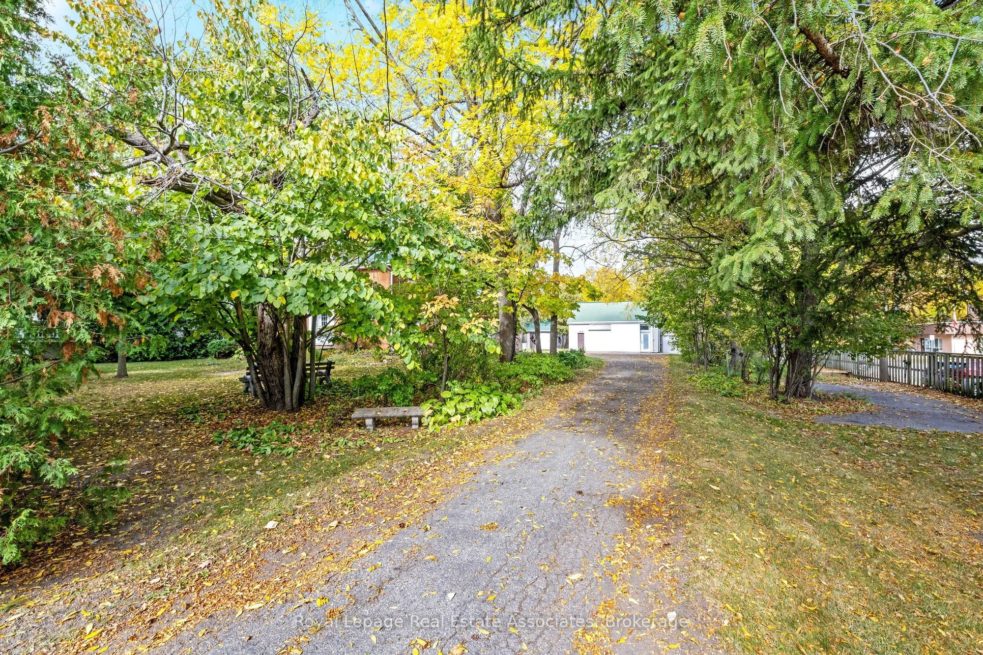 85 and 0 Guelph Street