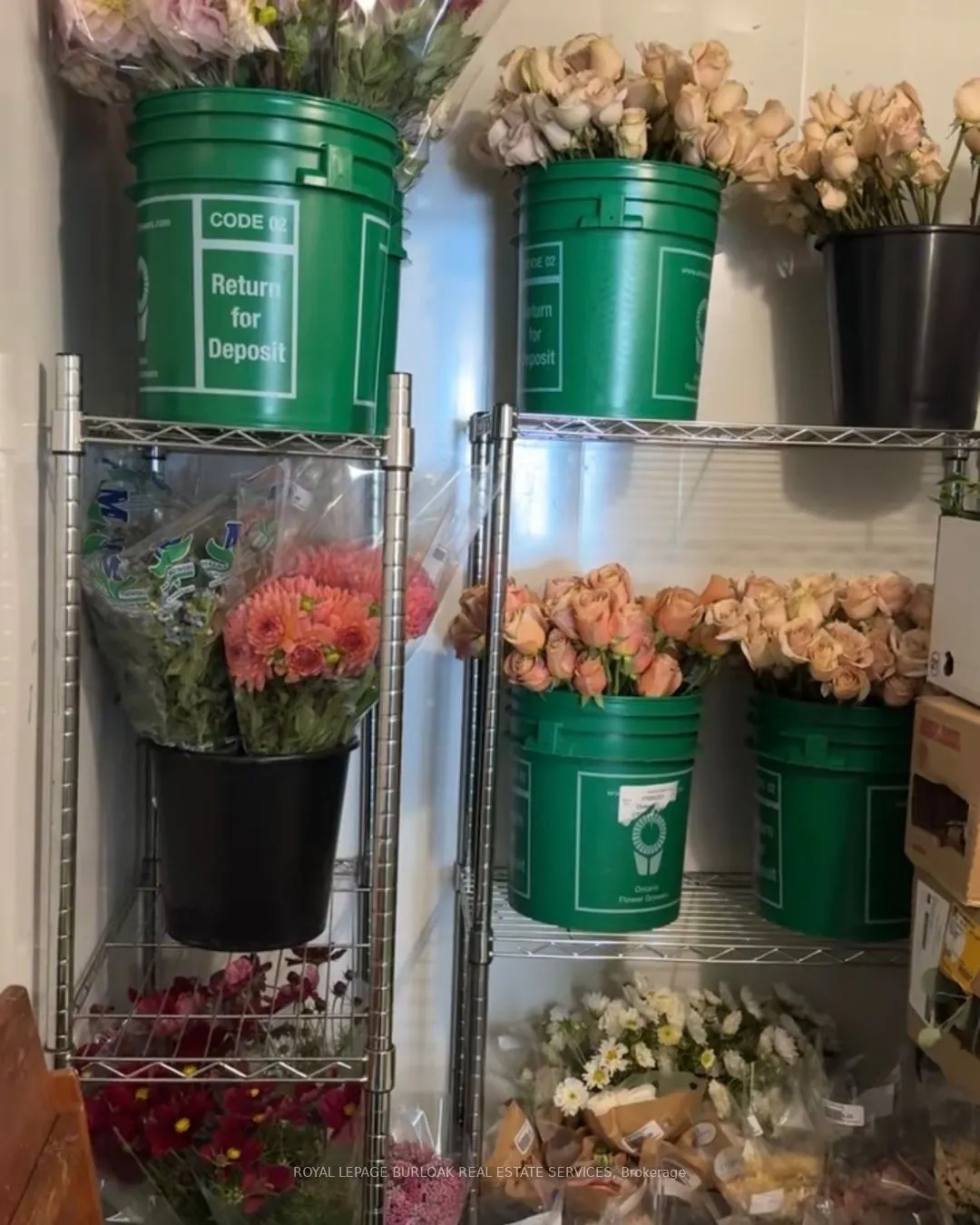 3130 Dundas Street W