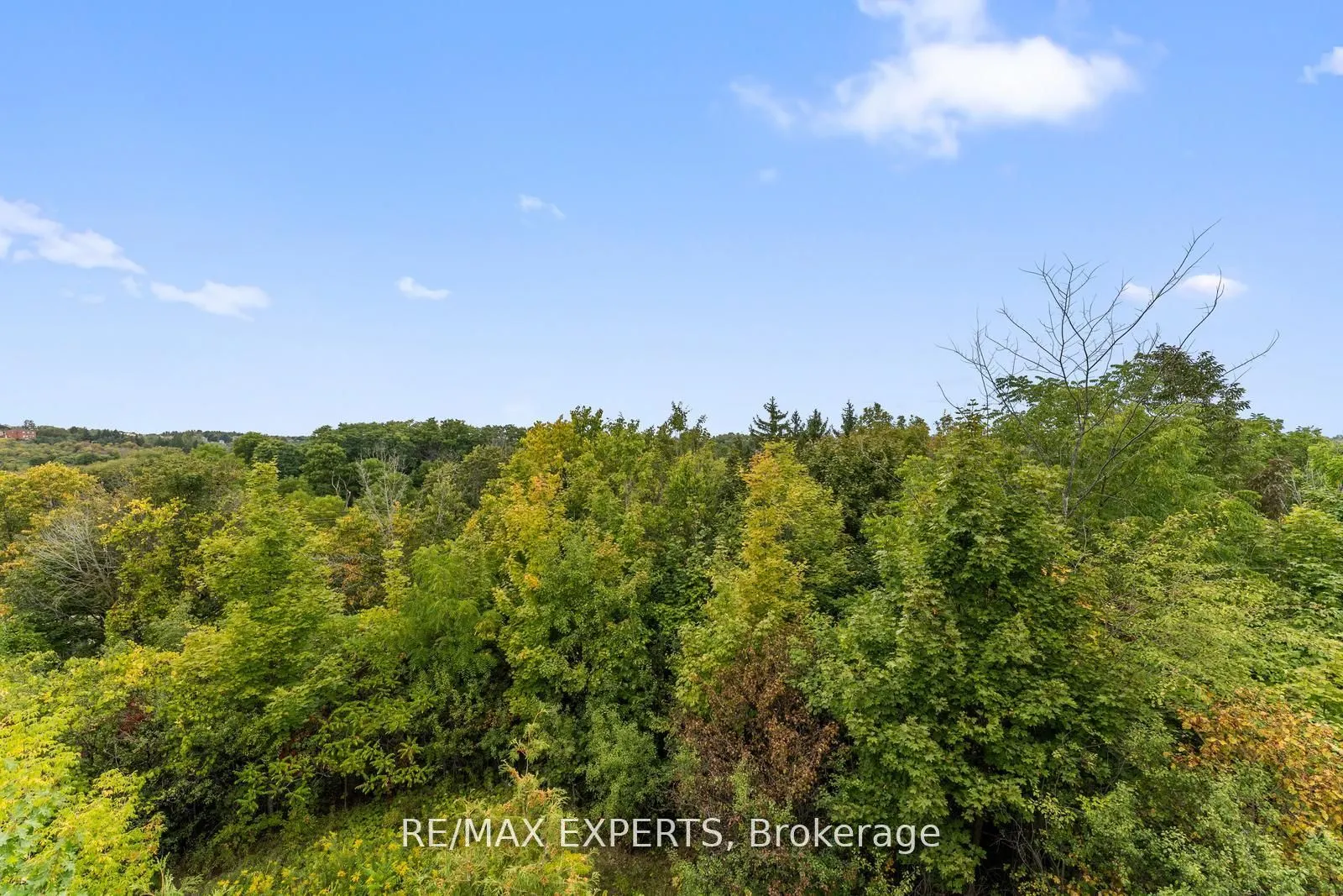 134 Rolling Hills Lane