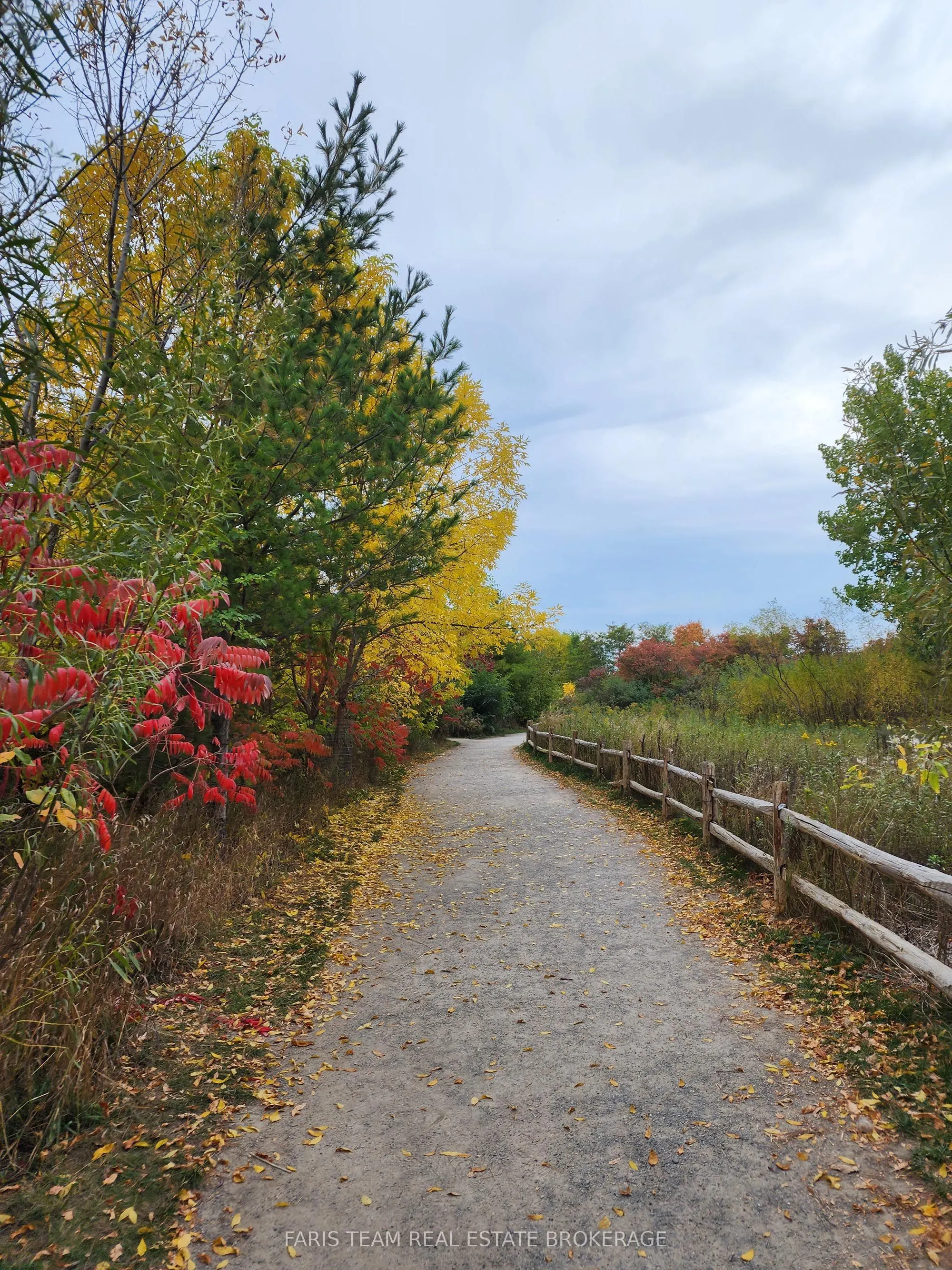 88 Palace Pier Court, #806