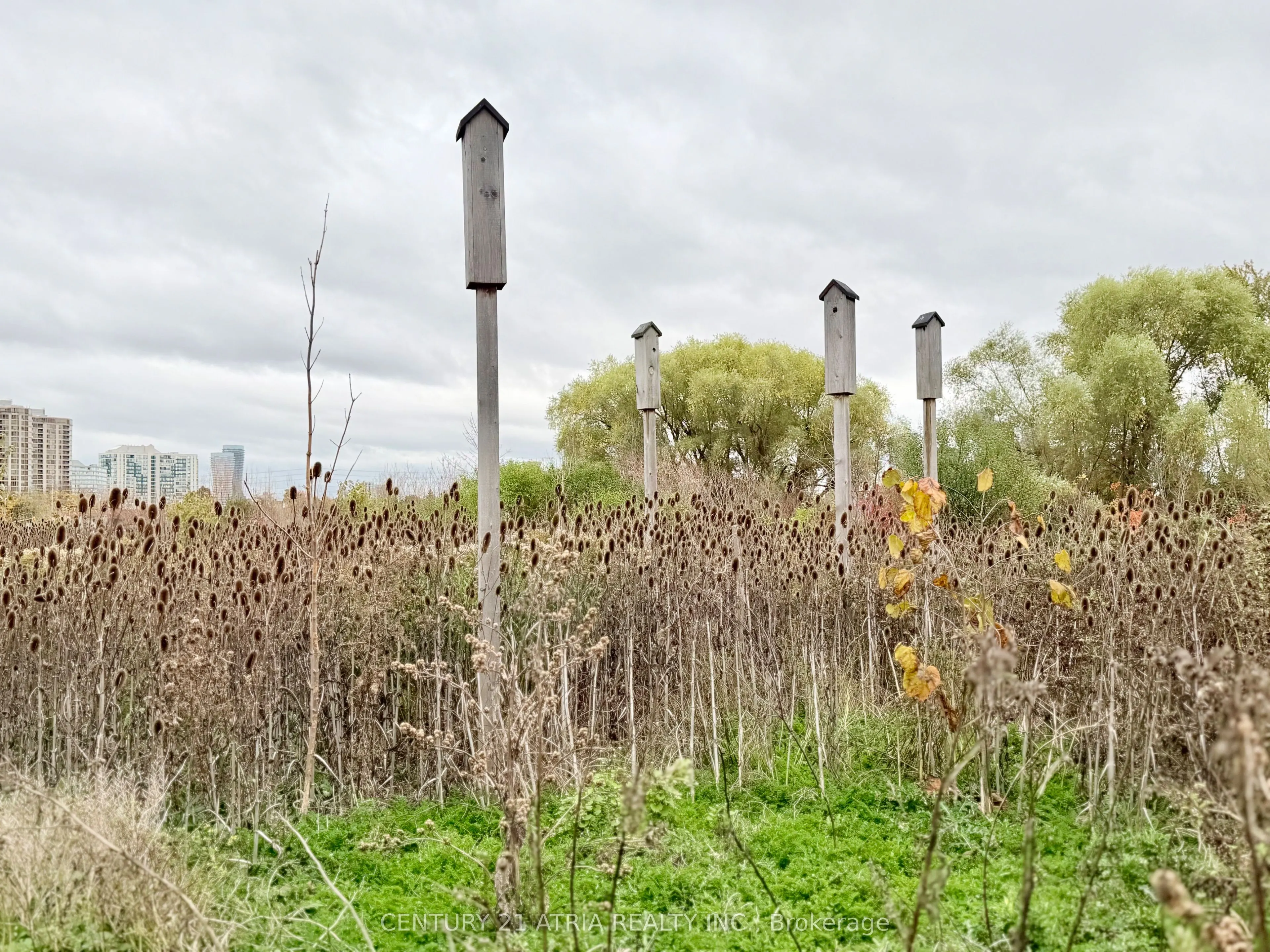 110 Little Creek Road, #23