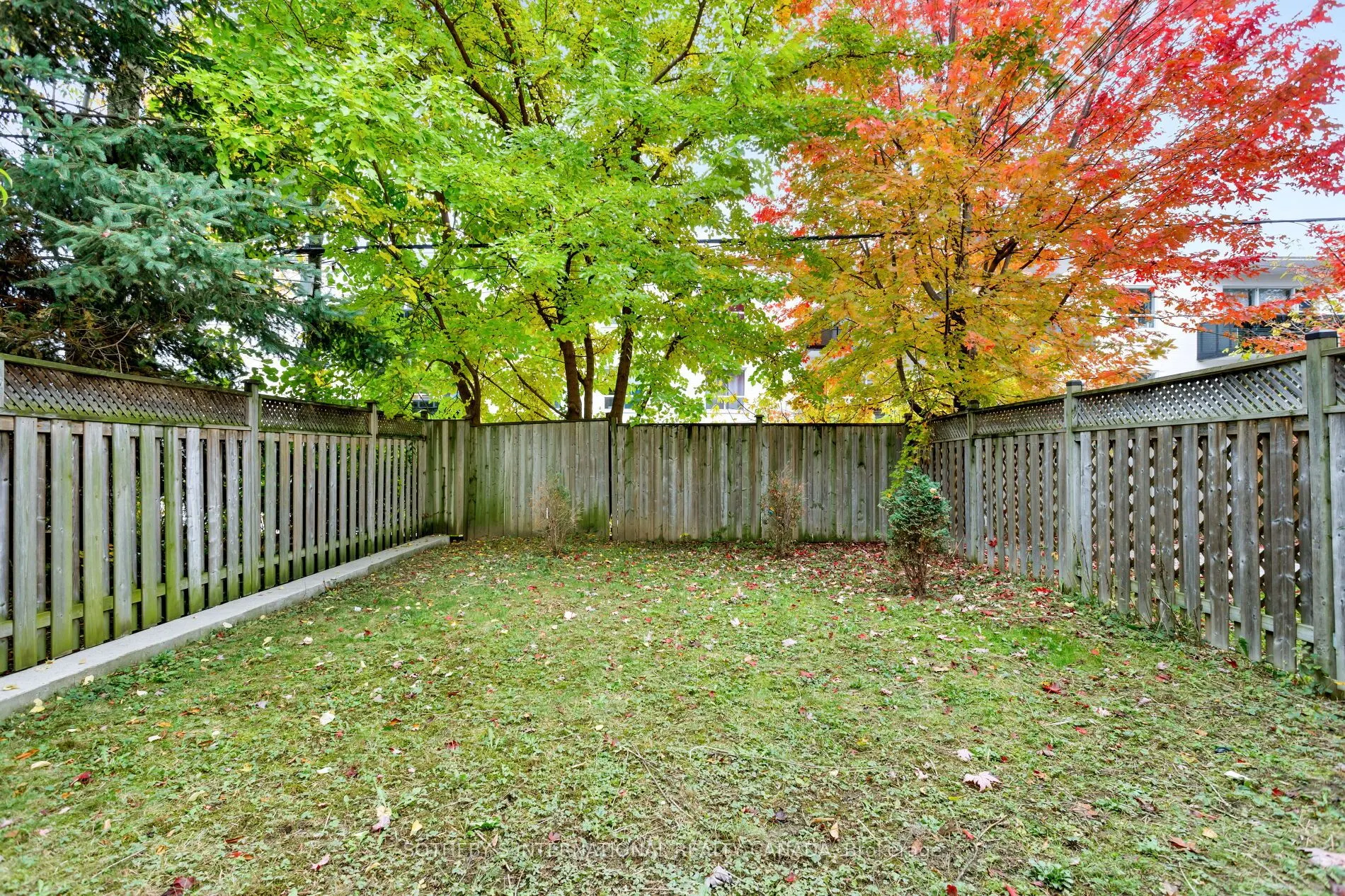 44 Forty First Street