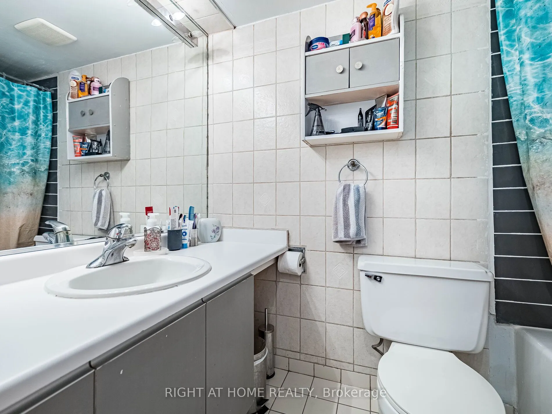 234 Albion Road, #305