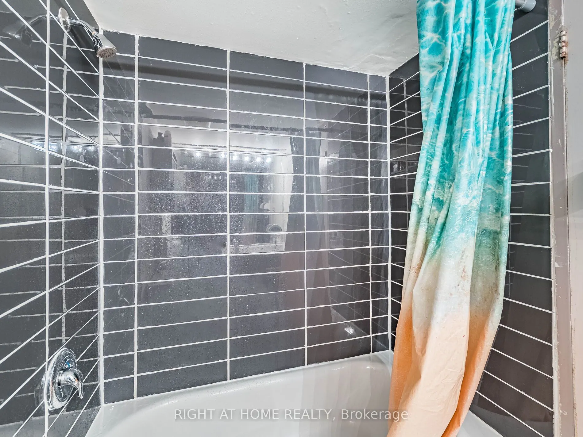 234 Albion Road, #305