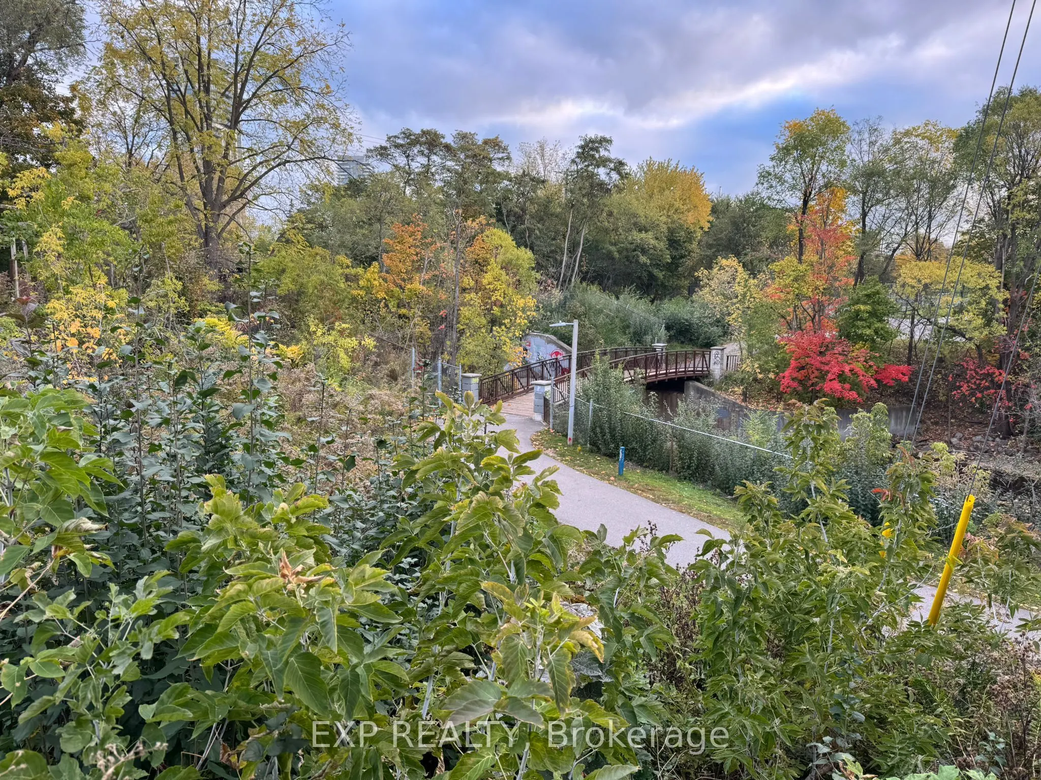 87 Wellington Street E, #Lower Level