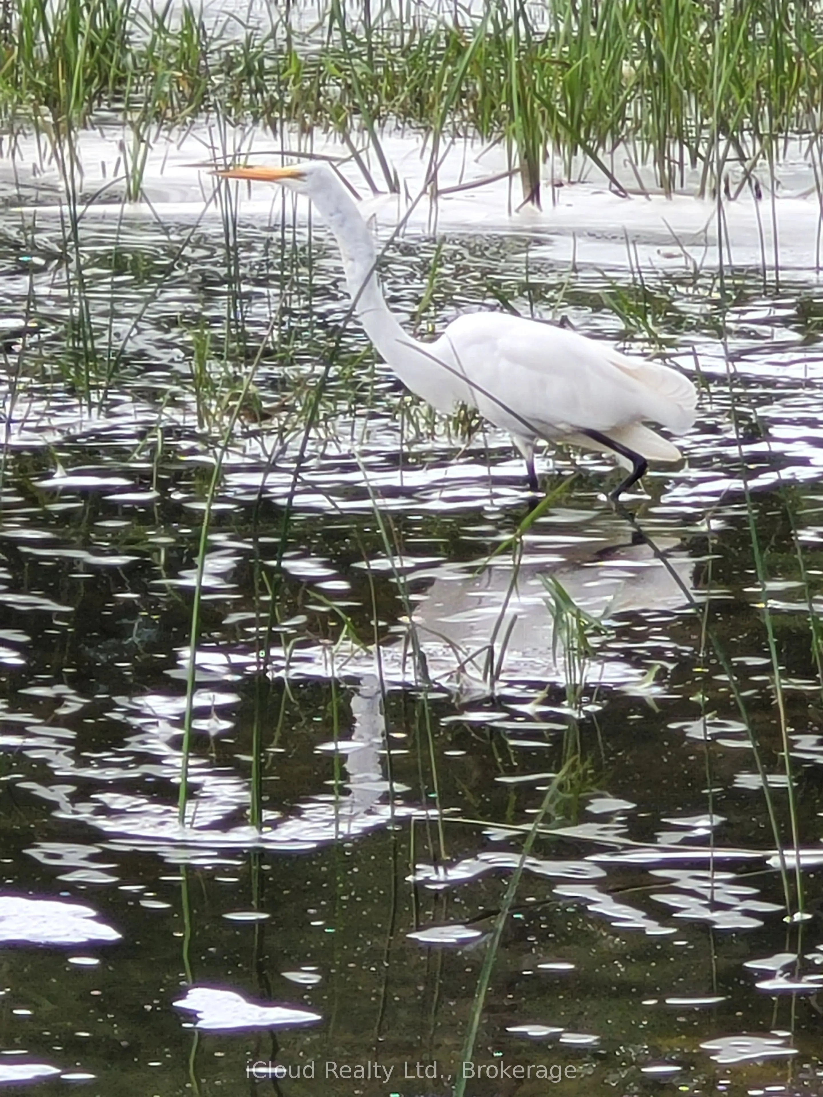 2121 Lake Shore Boulevard W, #813