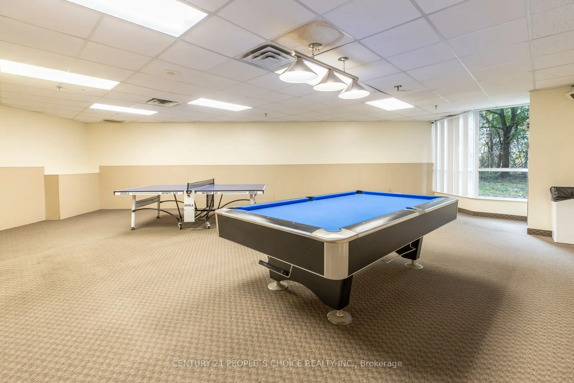 5 Rowntree Road, #416