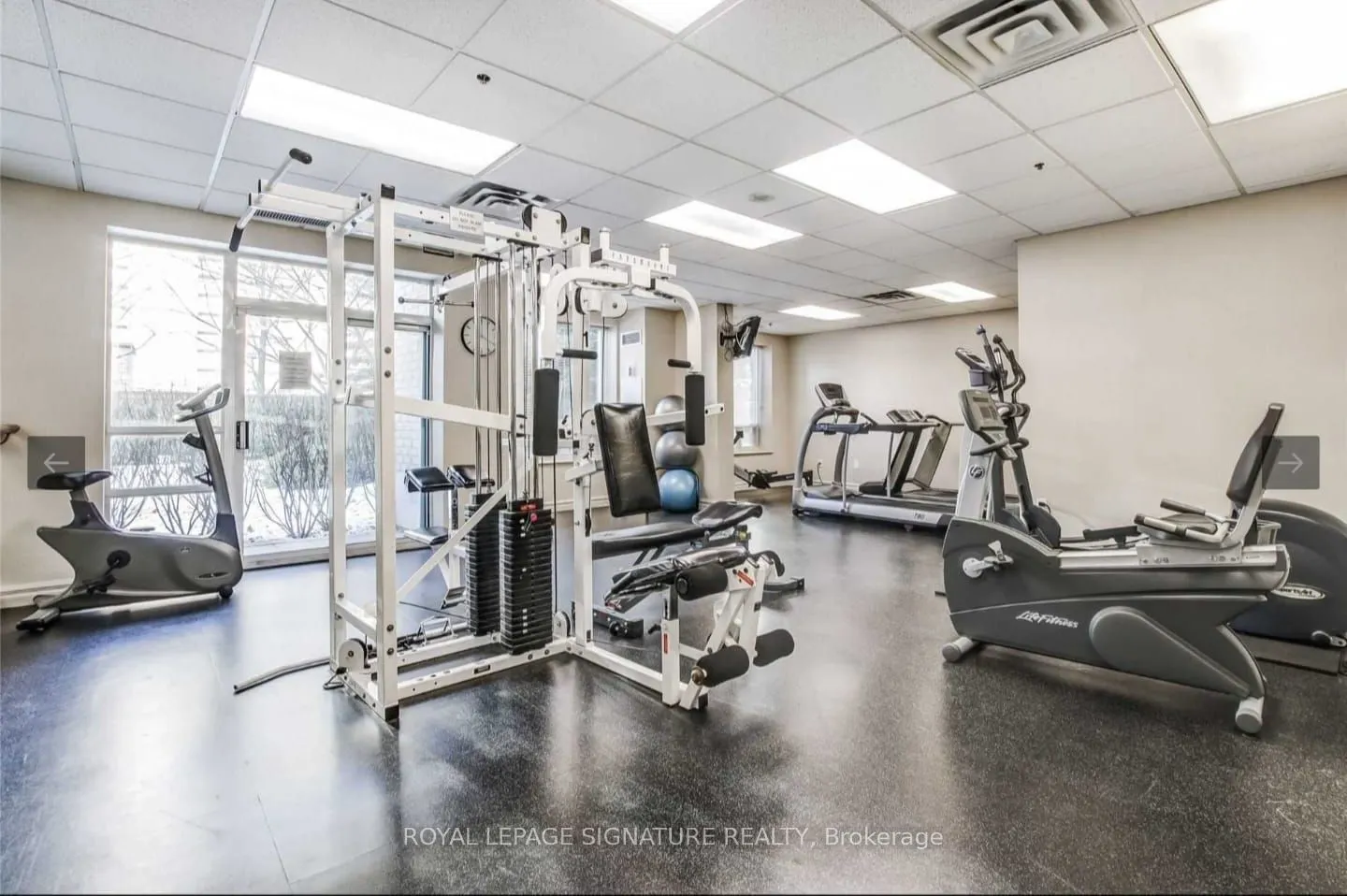 17 Michael Power Place, #502