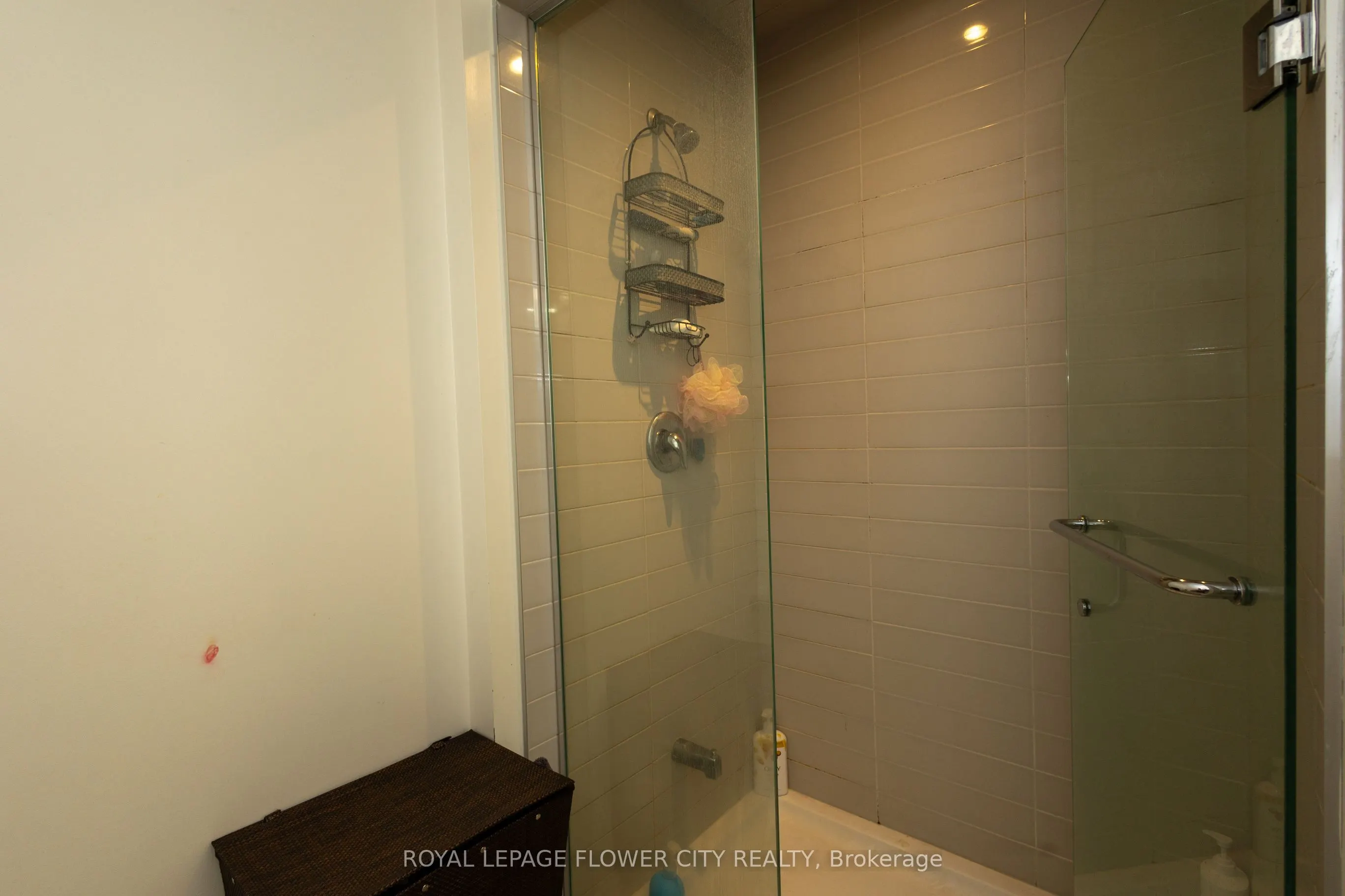 159 Lionhead Golf Club Road, #Basement