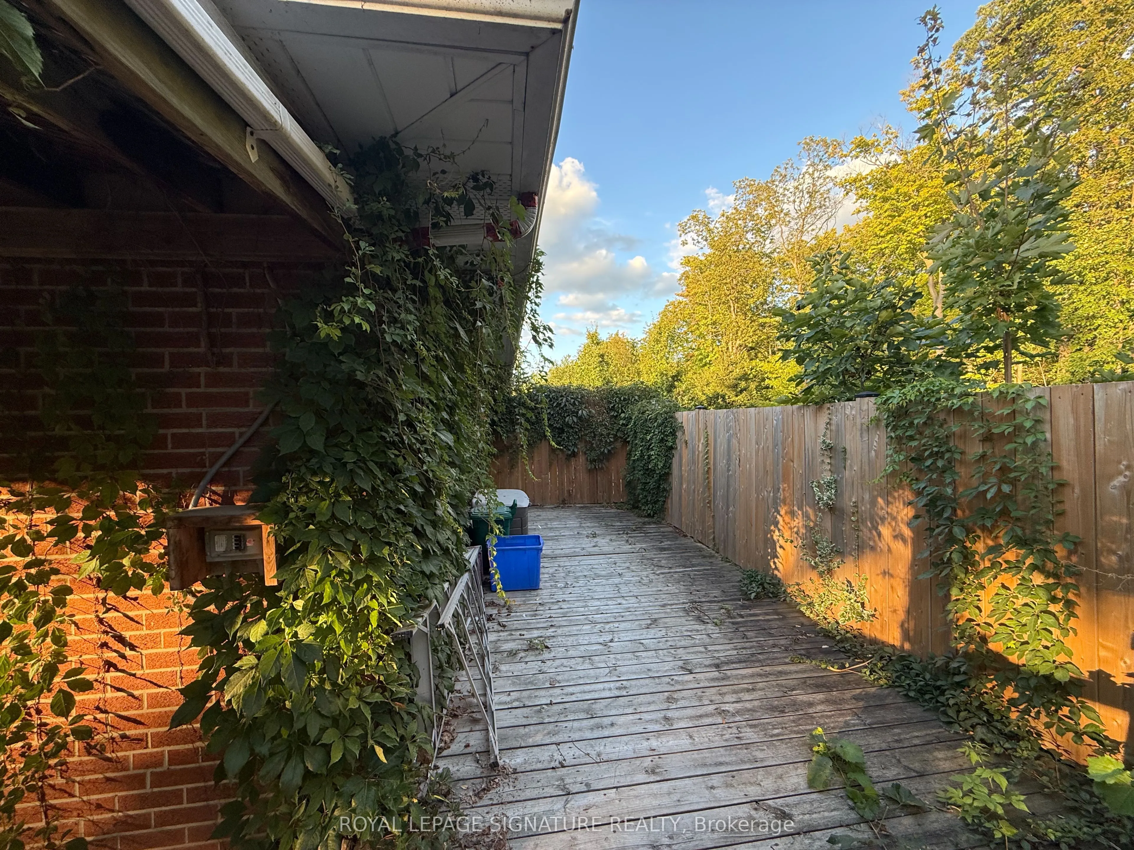 38 Burnhamthorpe Road W, #Lower