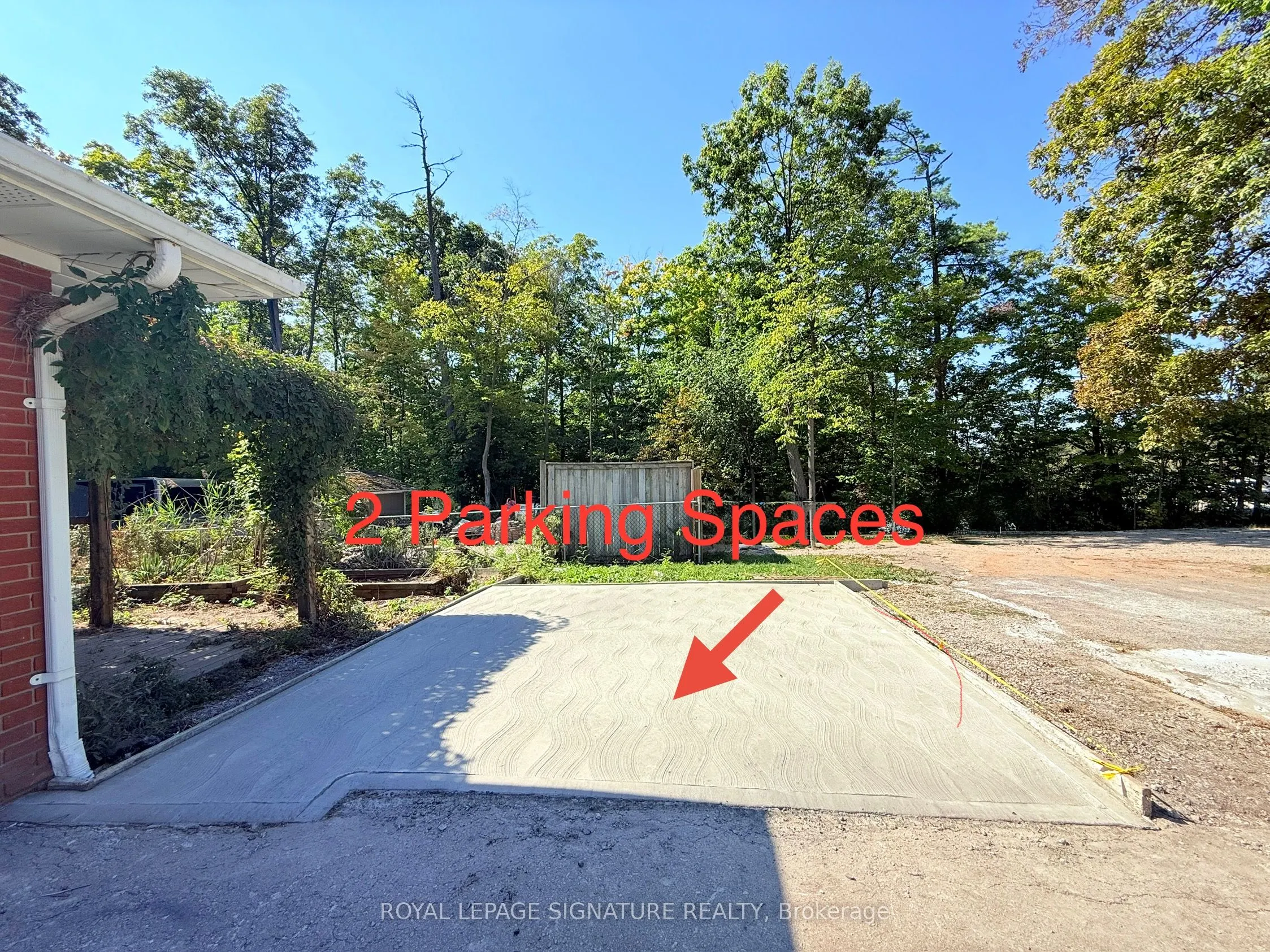 38 Burnhamthorpe Road W, #Lower