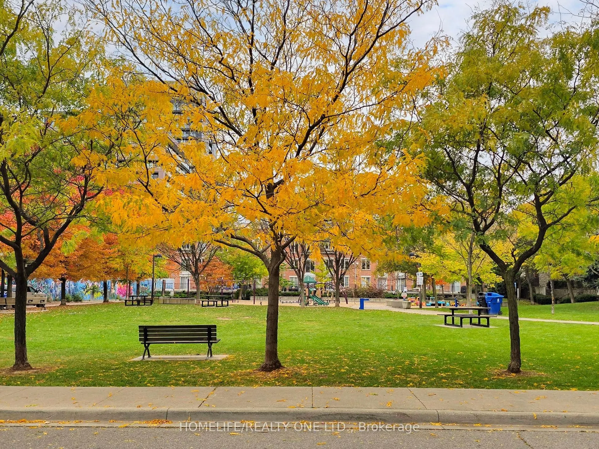 38 Joe Shuster Way, #2003