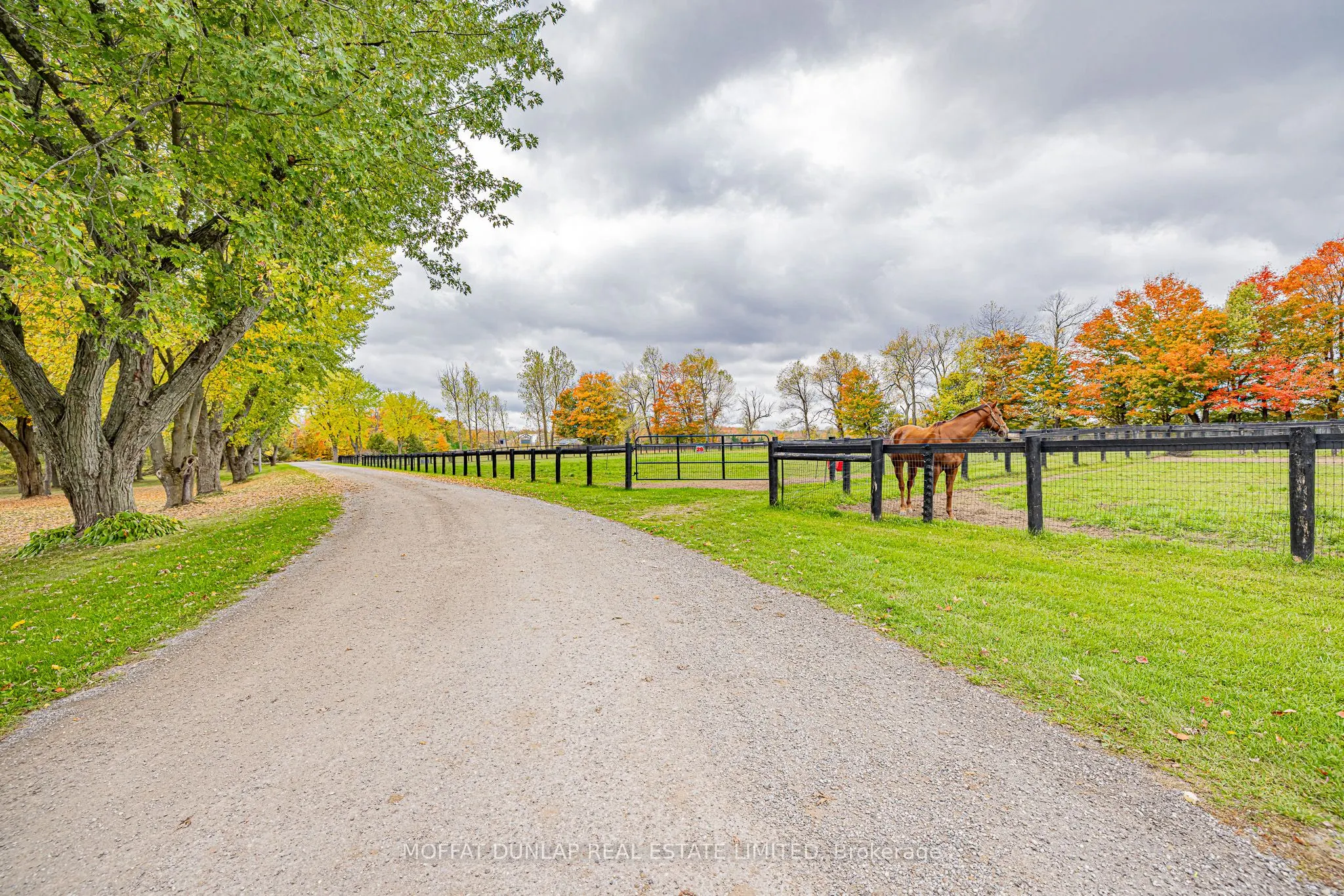 18095 Horseshoe Hill Road