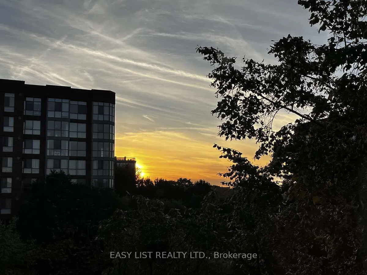 20 Southport Street, #521