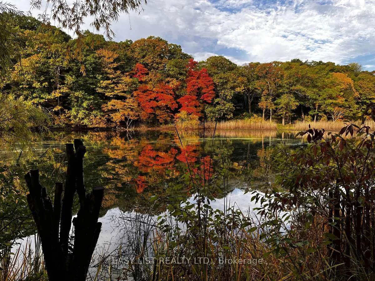 20 Southport Street, #521